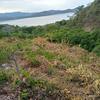  - OUTSTANDING 100+ACRES COASTAL OCEAN VIEW - OCEAN FRONT UNDEVELOPED PROPERTY