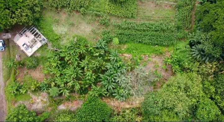 0 bed Land For Sale in Paquera, Puntarenas - thumb 2