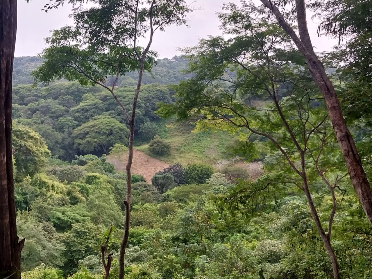 0 bed Land For Sale in Playa Blanca, Puntarenas - thumb 7