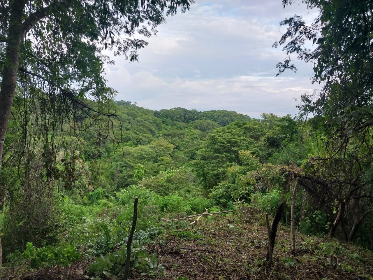 0 bed Land For Sale in Playa Blanca, Puntarenas - thumb 5