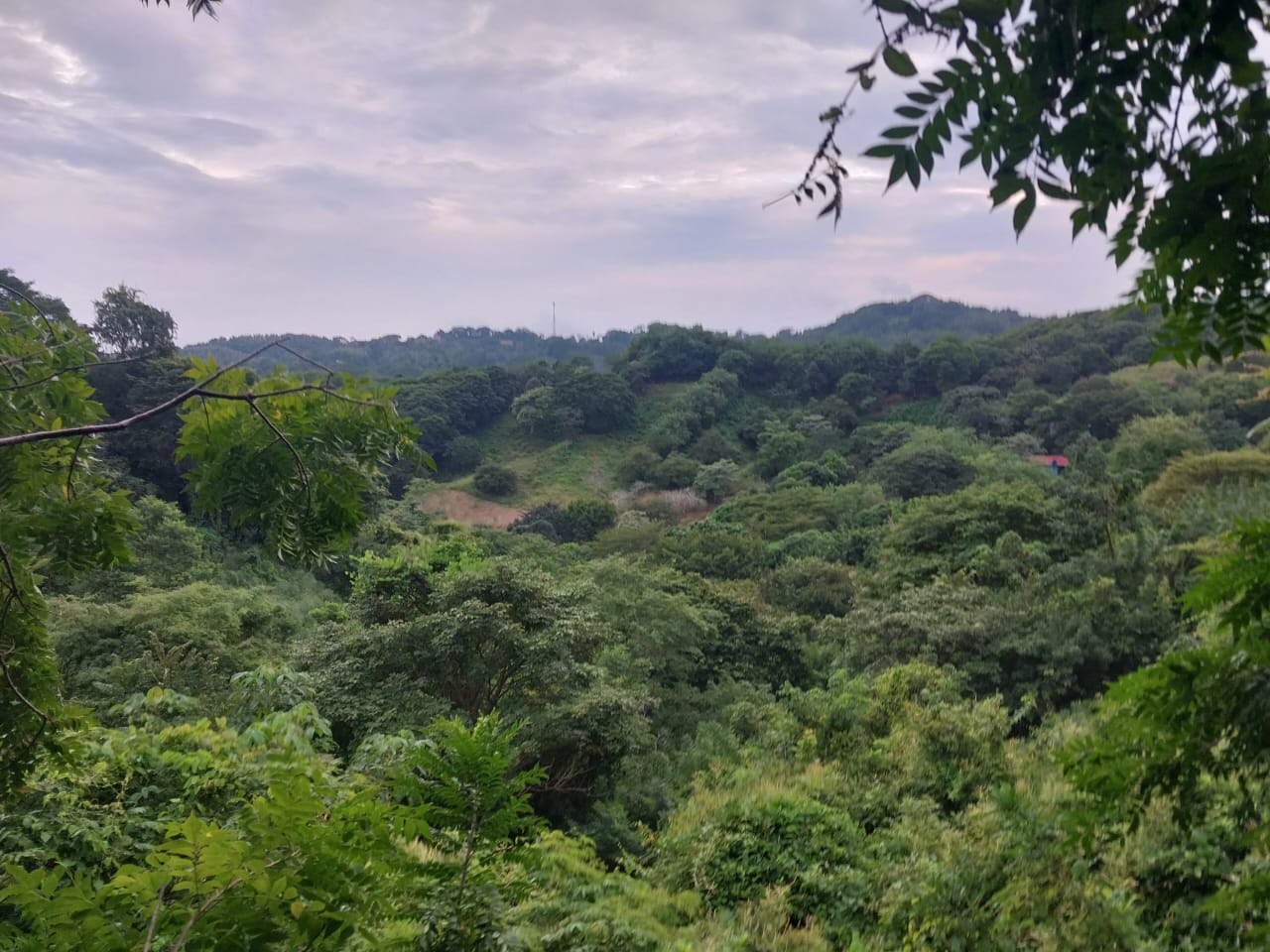 0 bed Land For Sale in Playa Blanca, Puntarenas - thumb 8