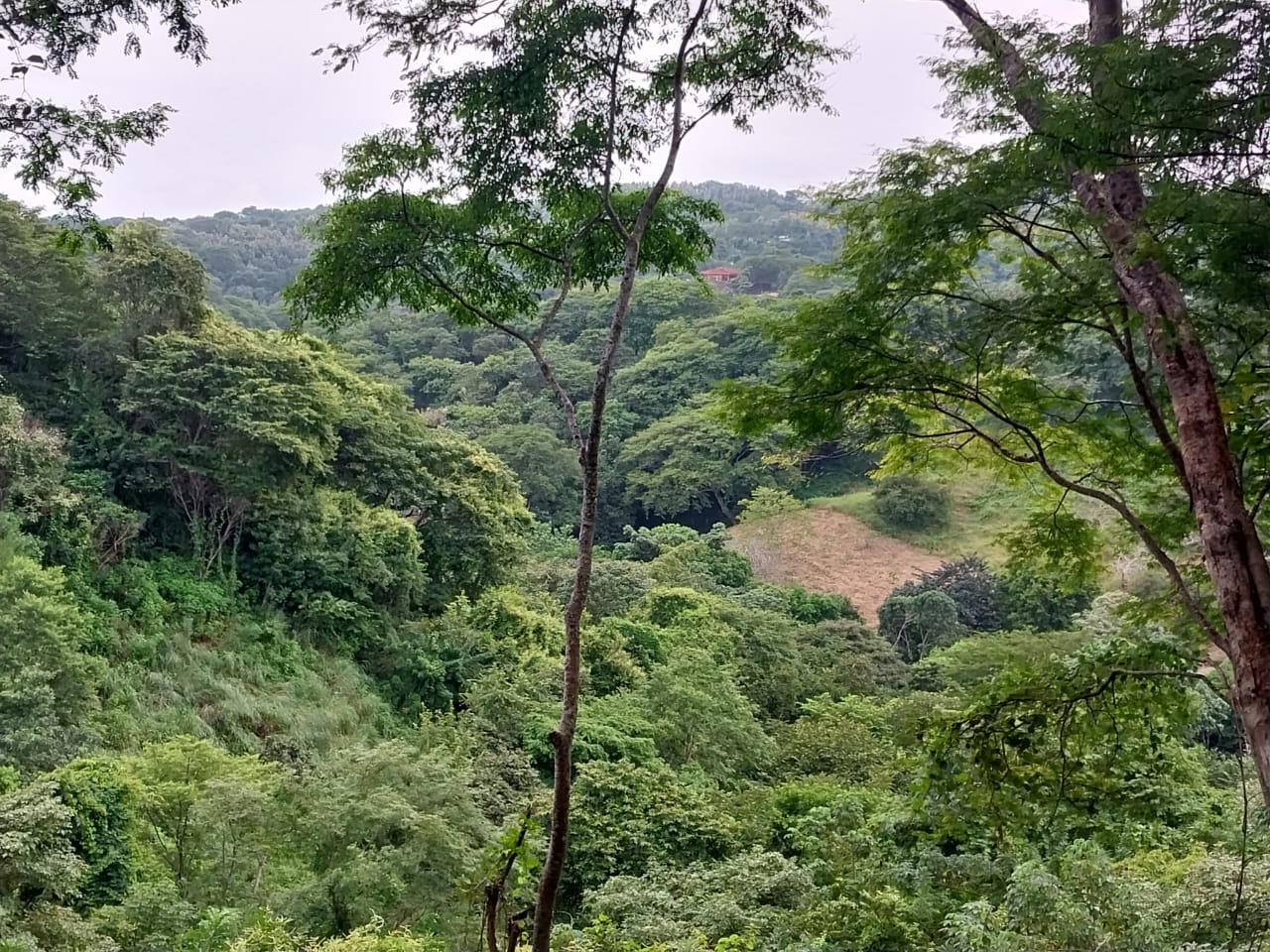 0 bed Land For Sale in Playa Blanca, Puntarenas - thumb 11