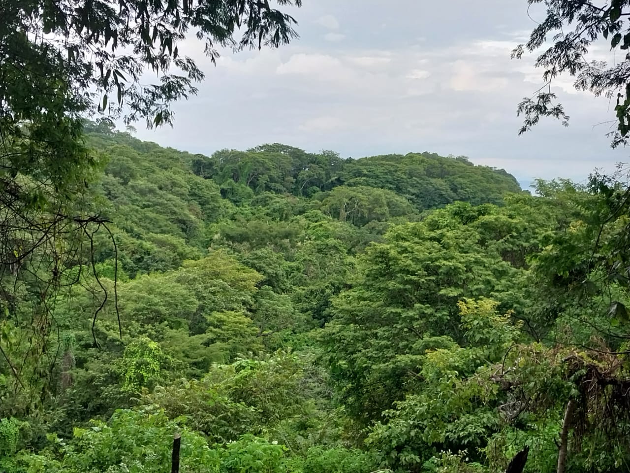 0 bed Land For Sale in Playa Blanca, Puntarenas - thumb 6