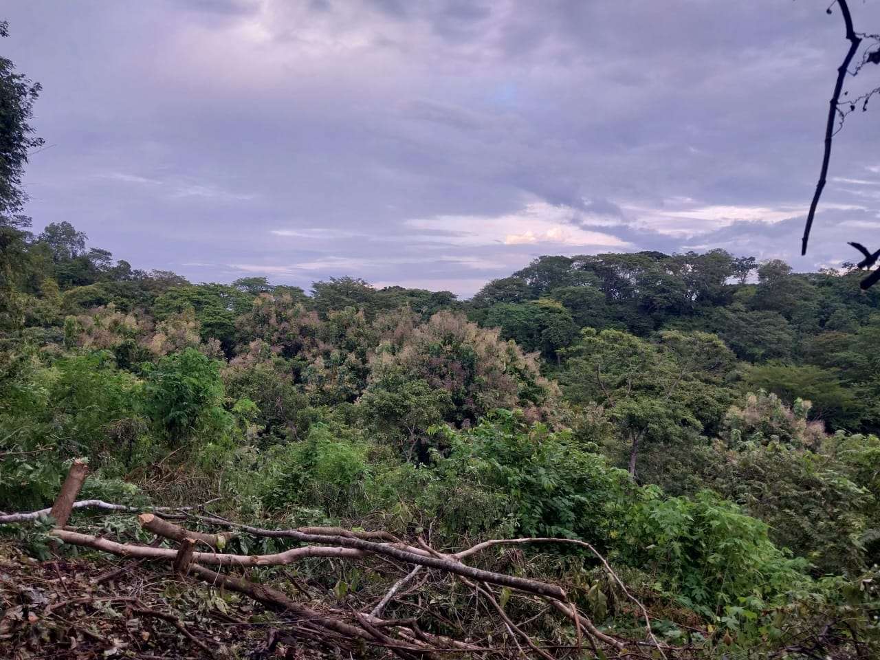 0 bed Land For Sale in Playa Blanca, Puntarenas - thumb 3