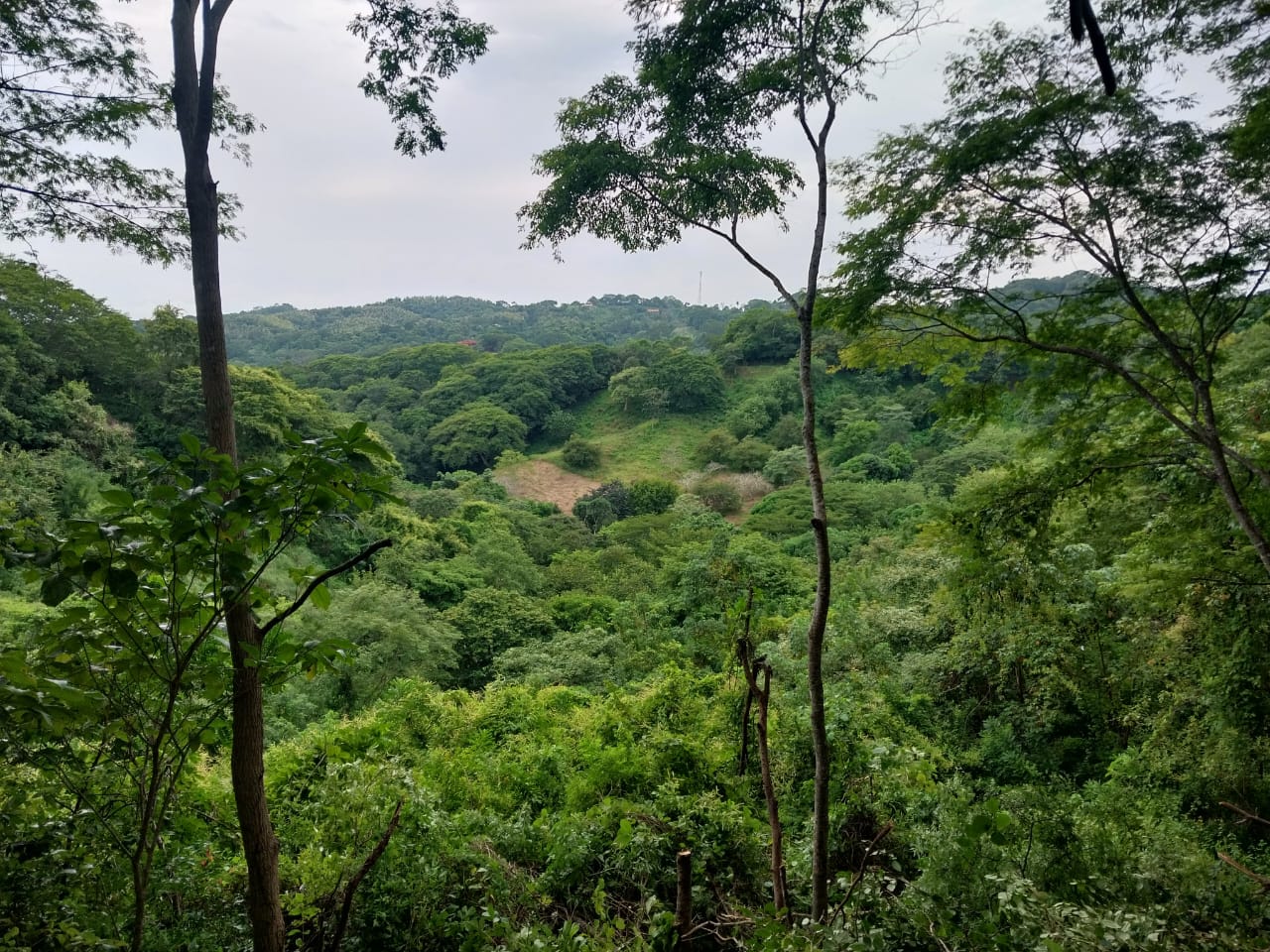 0 bed Land For Sale in Playa Blanca, Puntarenas - thumb 12