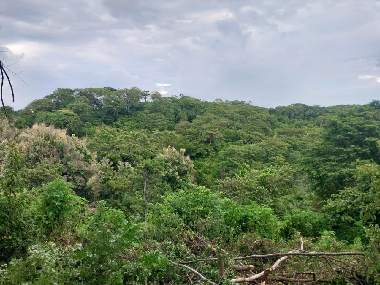 0 bed Land For Sale in Playa Blanca, Puntarenas - thumb 10