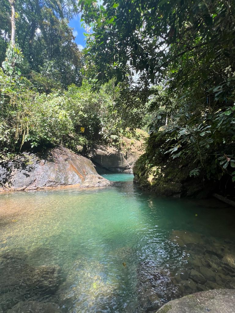 4 bed Single Family Homes For Sale in Dominical, Puntarenas - thumb 14