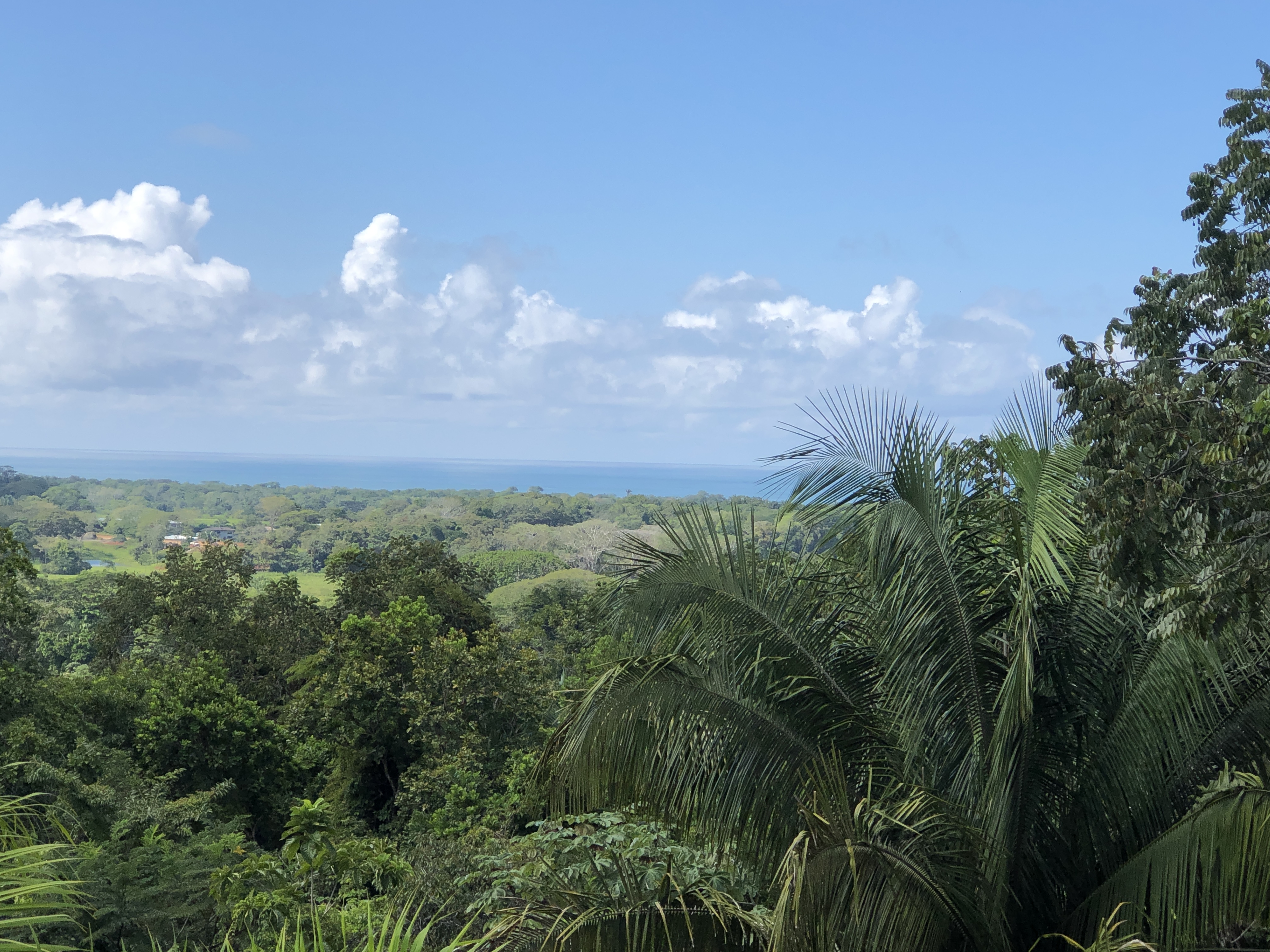 3 bed Single Family Homes For Sale in Esterillos, Puntarenas - thumb 4