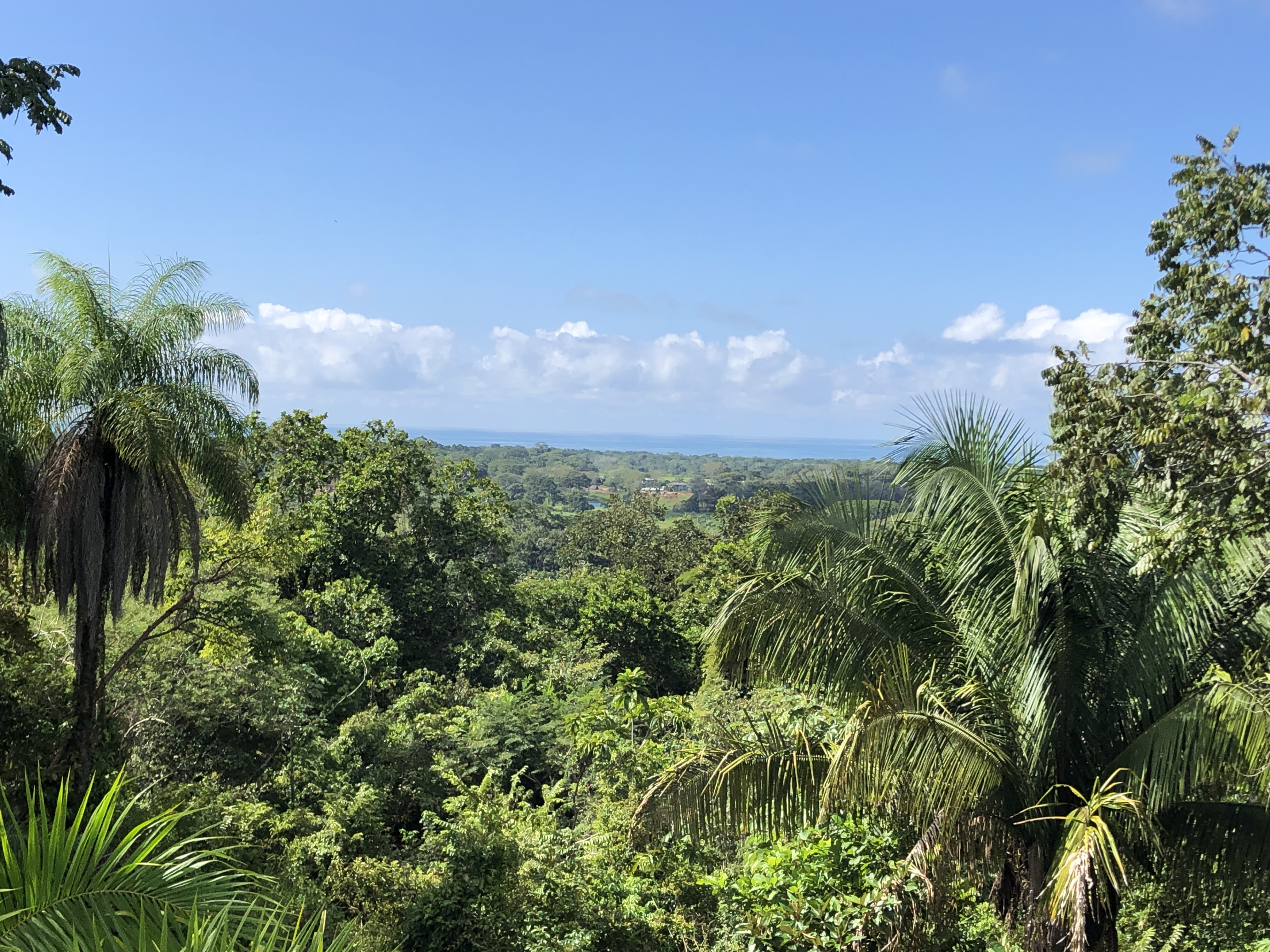 3 bed Single Family Homes For Sale in Esterillos, Puntarenas - thumb 2