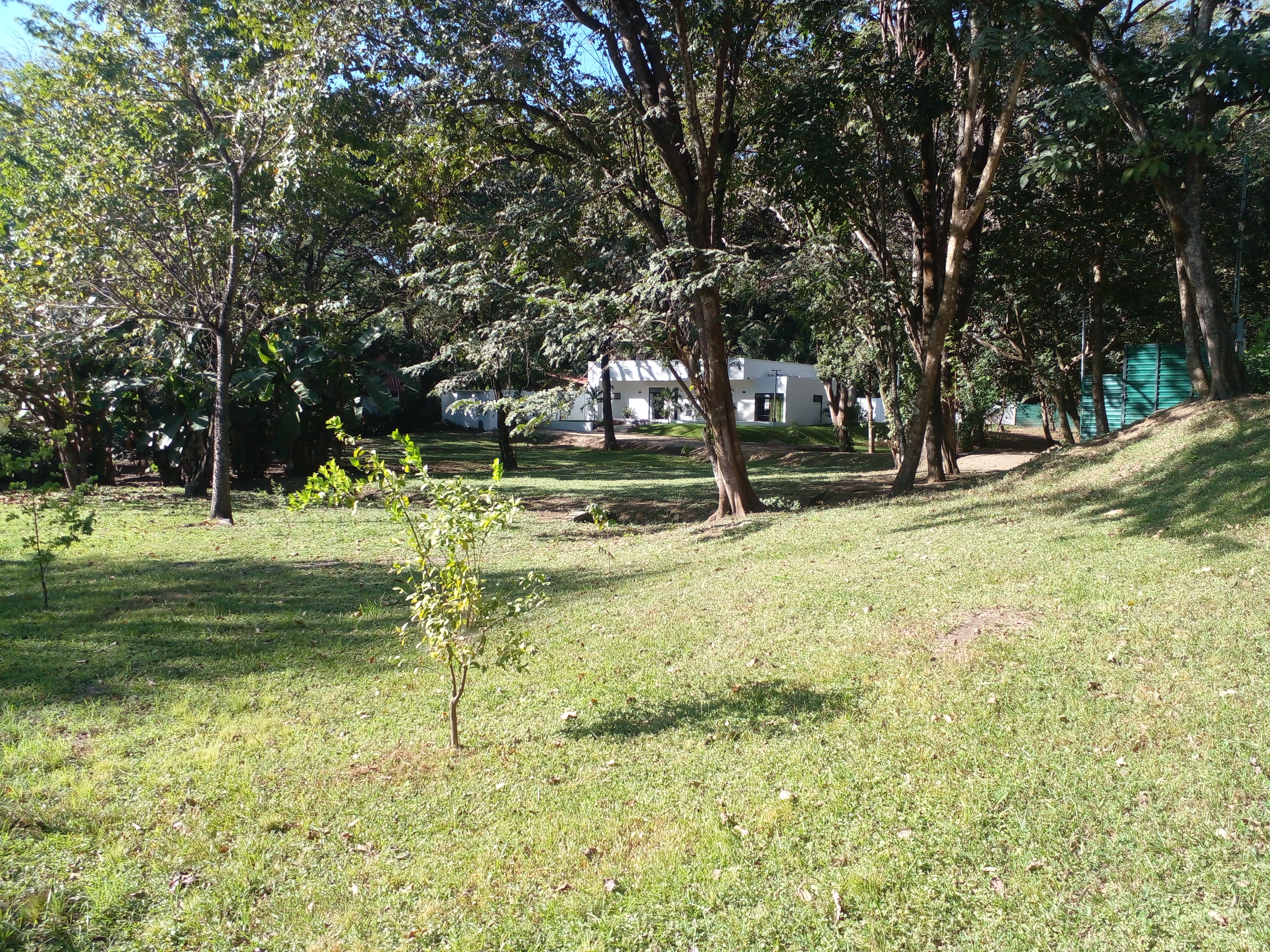 3 bed Single Family Homes For Sale in Samara, Guanacaste - thumb 7