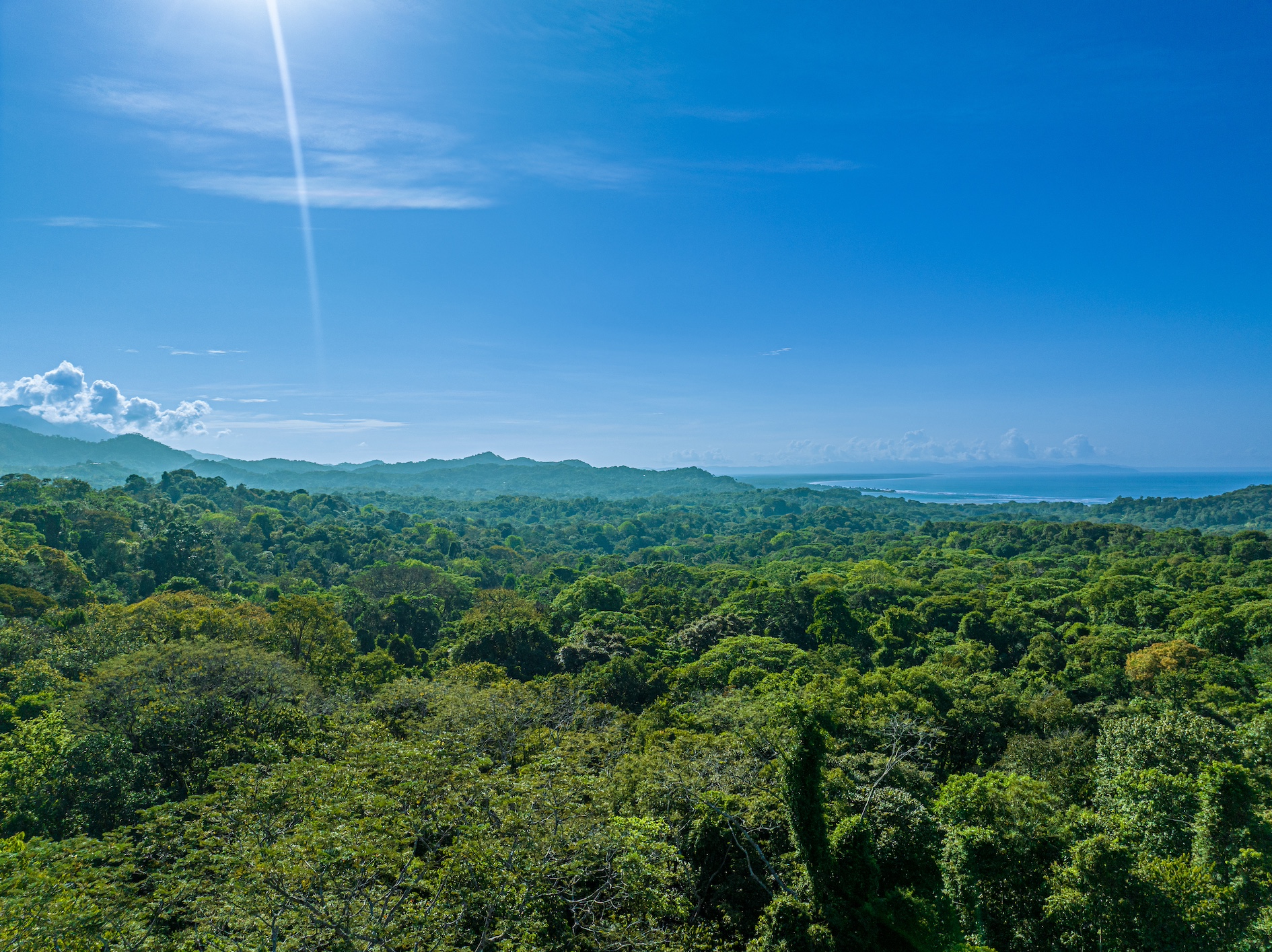 3 bed Single Family Homes For Sale in Ojochal, Puntarenas - thumb 6