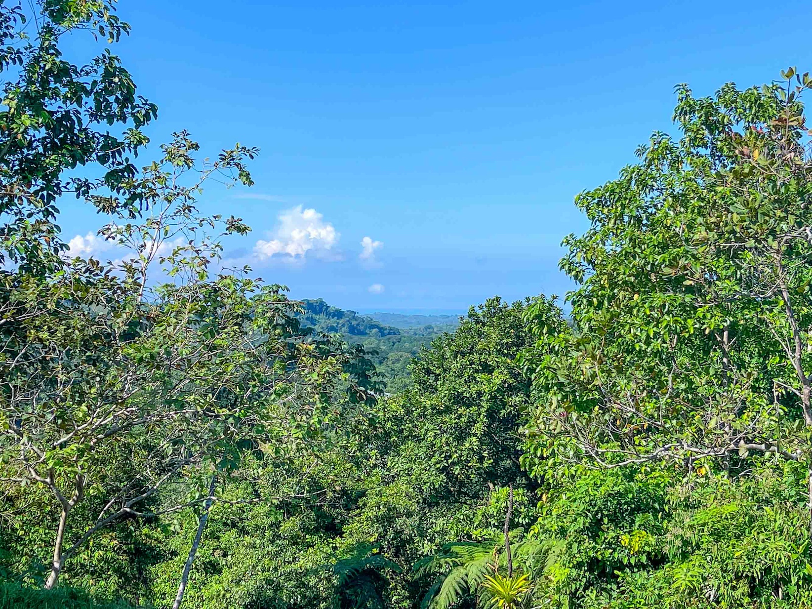 0 bed Land For Sale in Quepos, Puntarenas - thumb 11