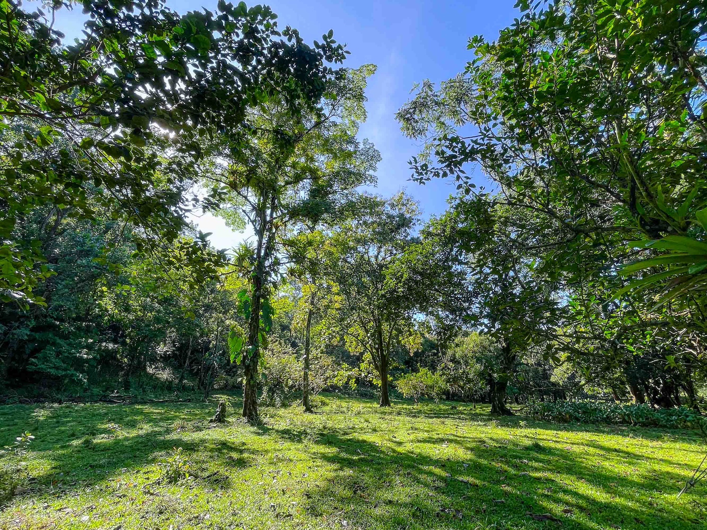 0 bed Land For Sale in Quepos, Puntarenas - thumb 7