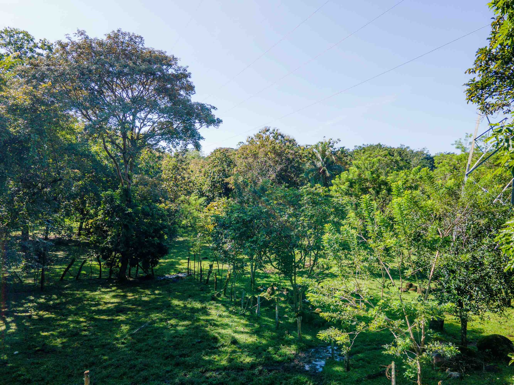 0 bed Land For Sale in Quepos, Puntarenas - thumb 27