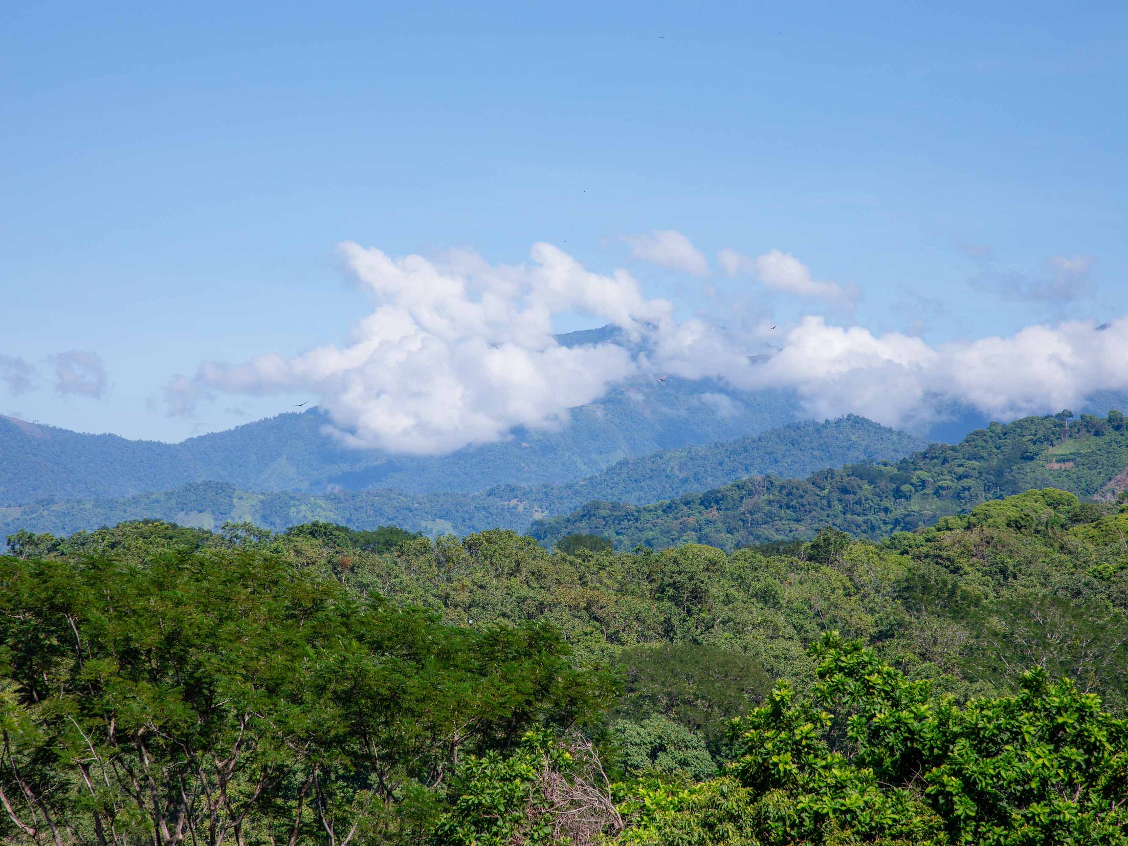 0 bed Land For Sale in Quepos, Puntarenas - thumb 25