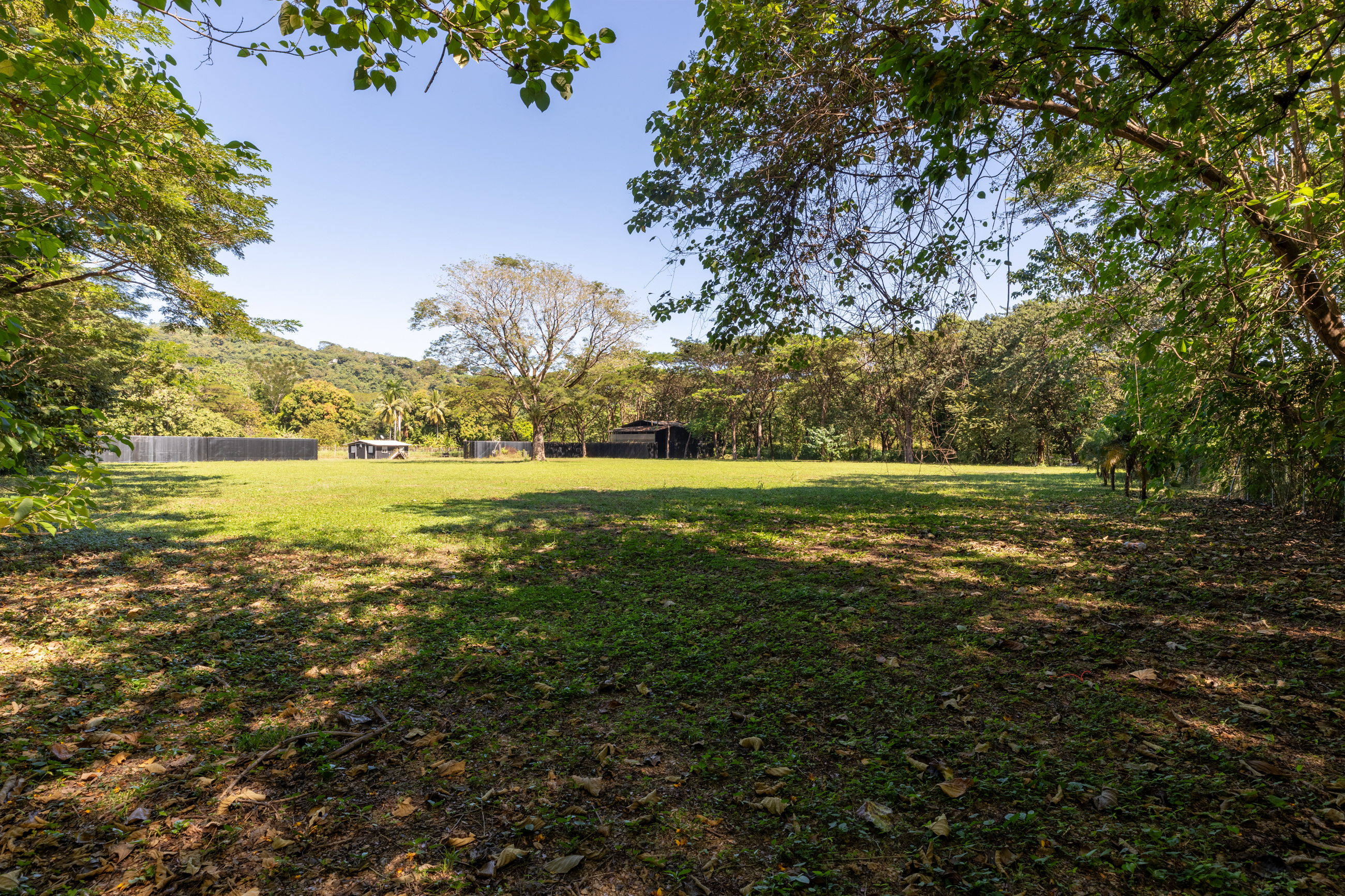 0 bed Land For Sale in Nosara, Guanacaste - thumb 4