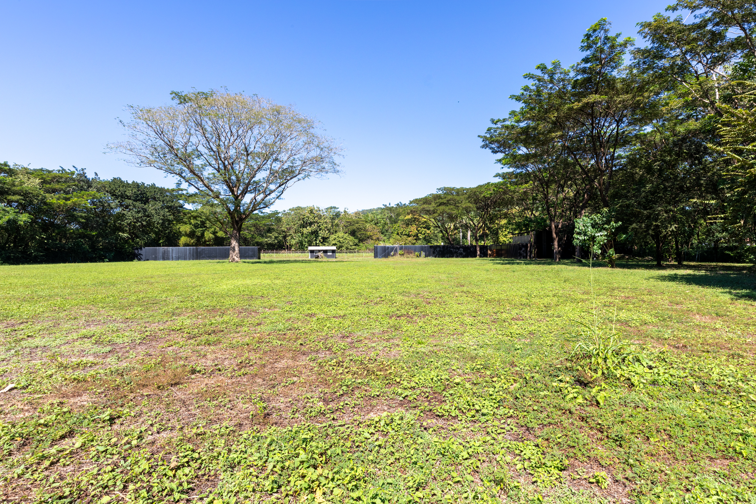 0 bed Land For Sale in Nosara, Guanacaste - thumb 5