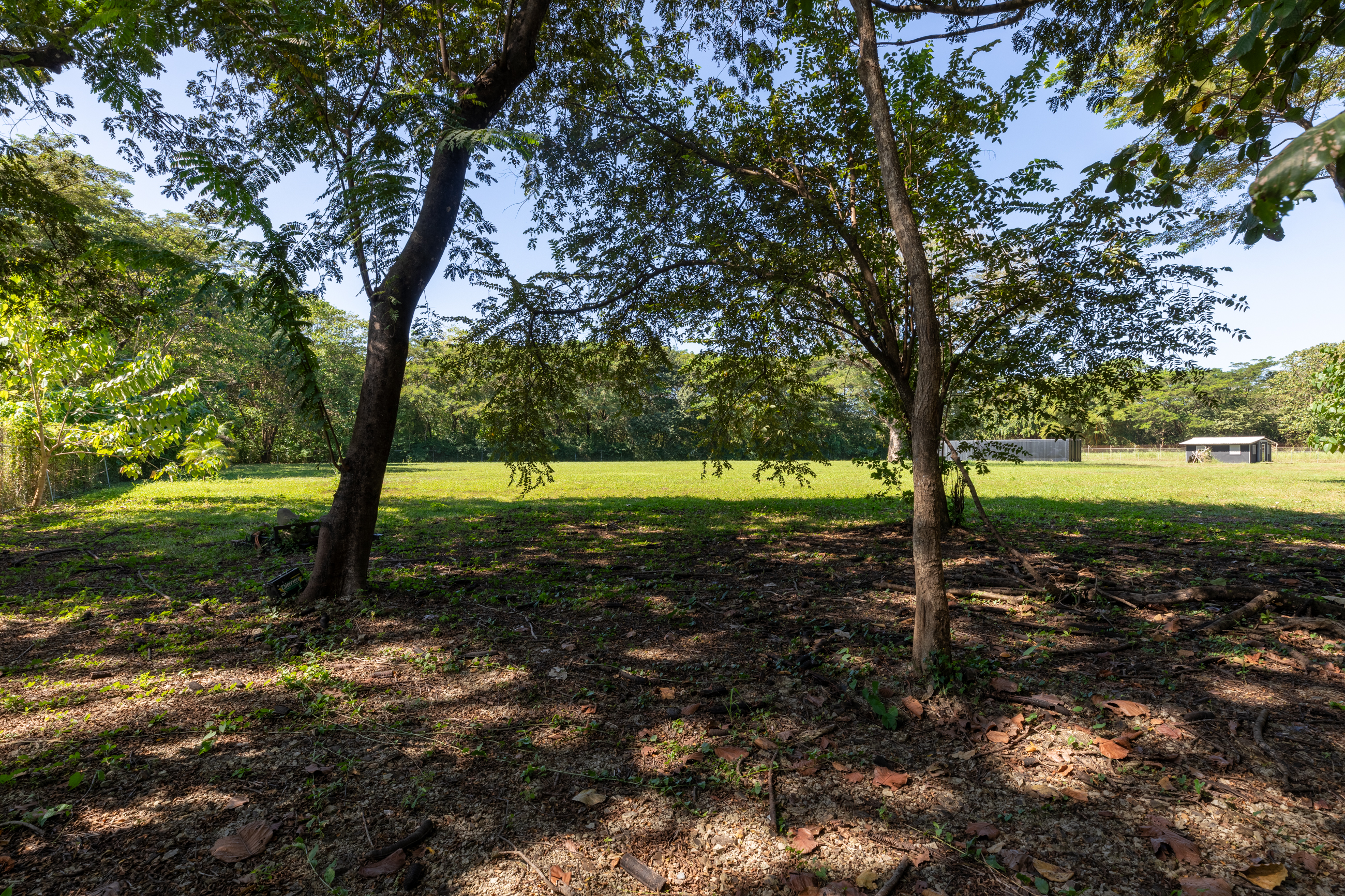 0 bed Land For Sale in Nosara, Guanacaste - thumb 6