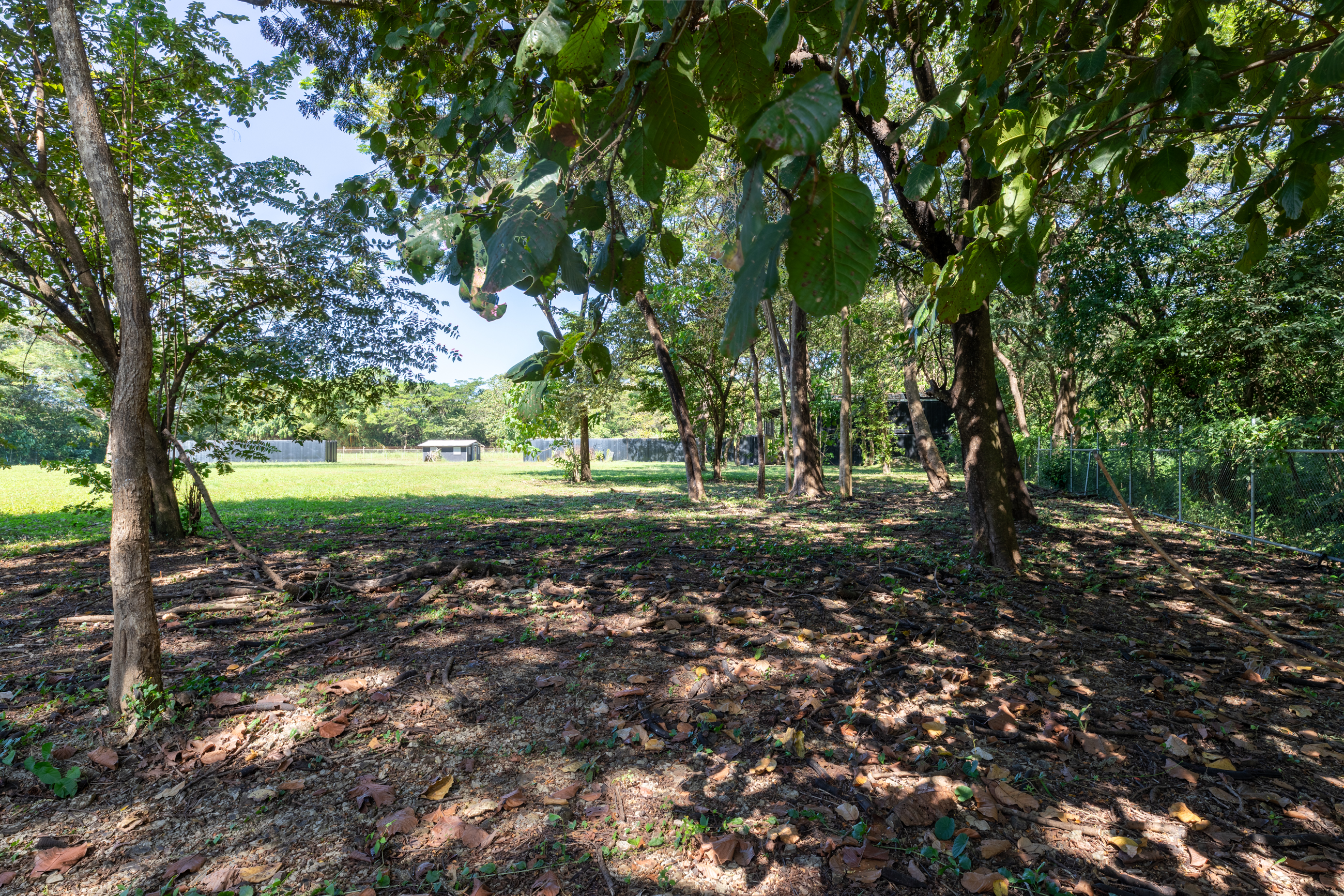 0 bed Land For Sale in Nosara, Guanacaste - thumb 7