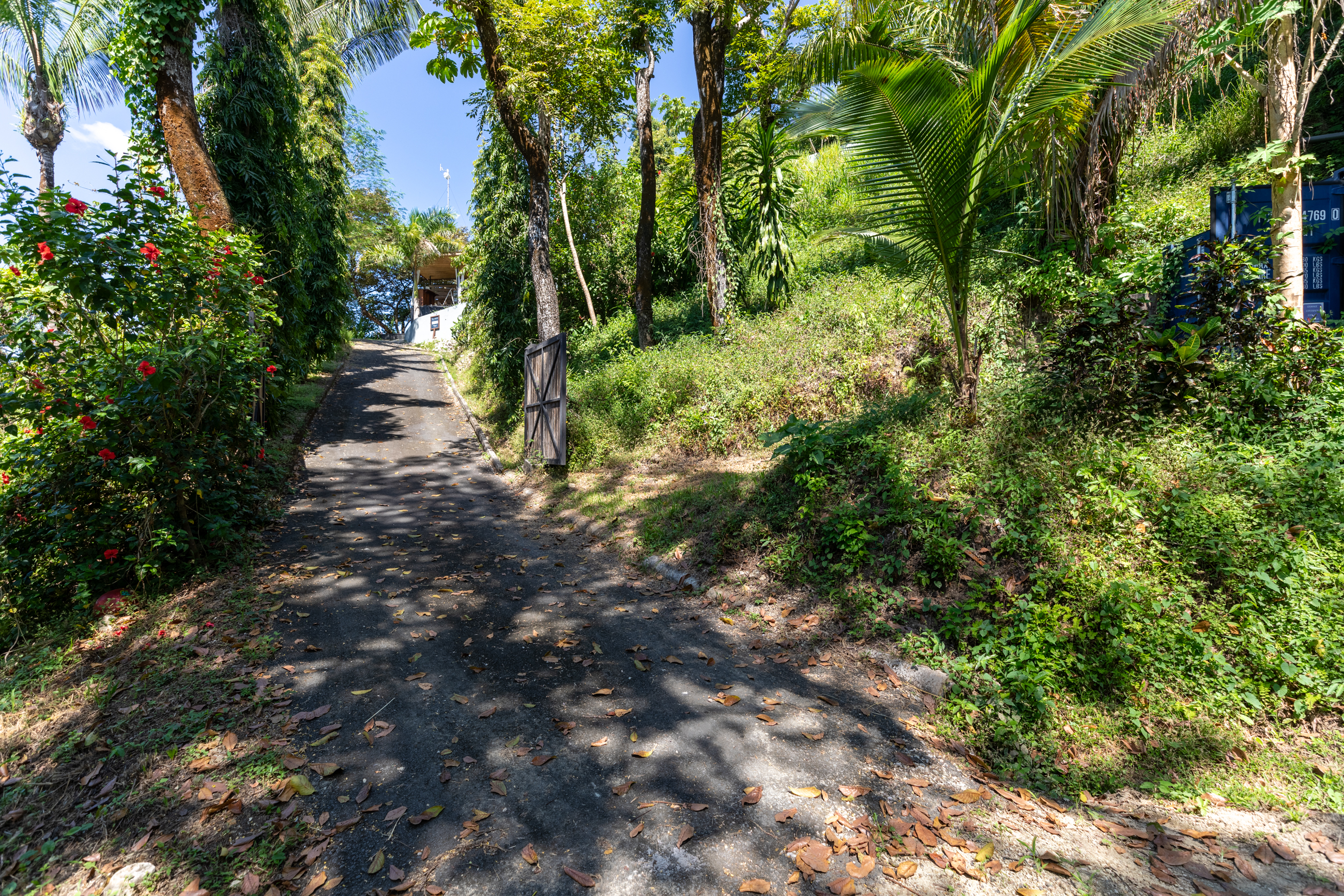 0 bed Land For Sale in Nosara, Guanacaste - thumb 4