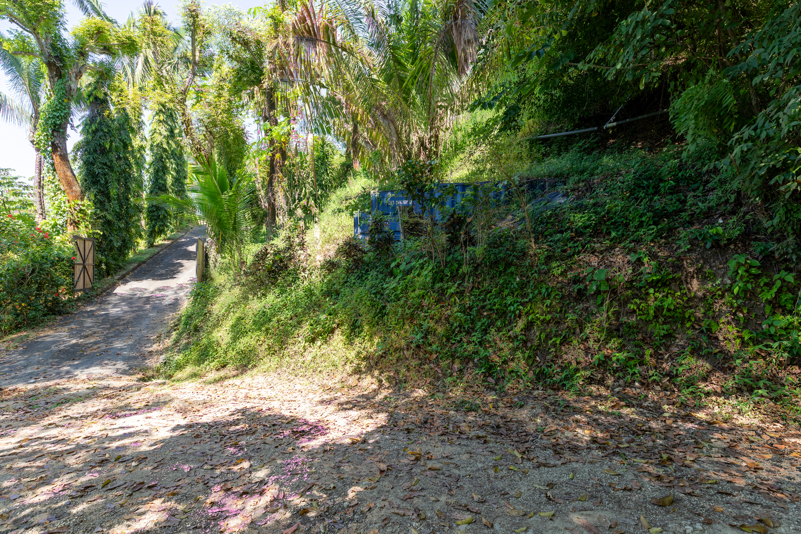 0 bed Land For Sale in Nosara, Guanacaste - thumb 5