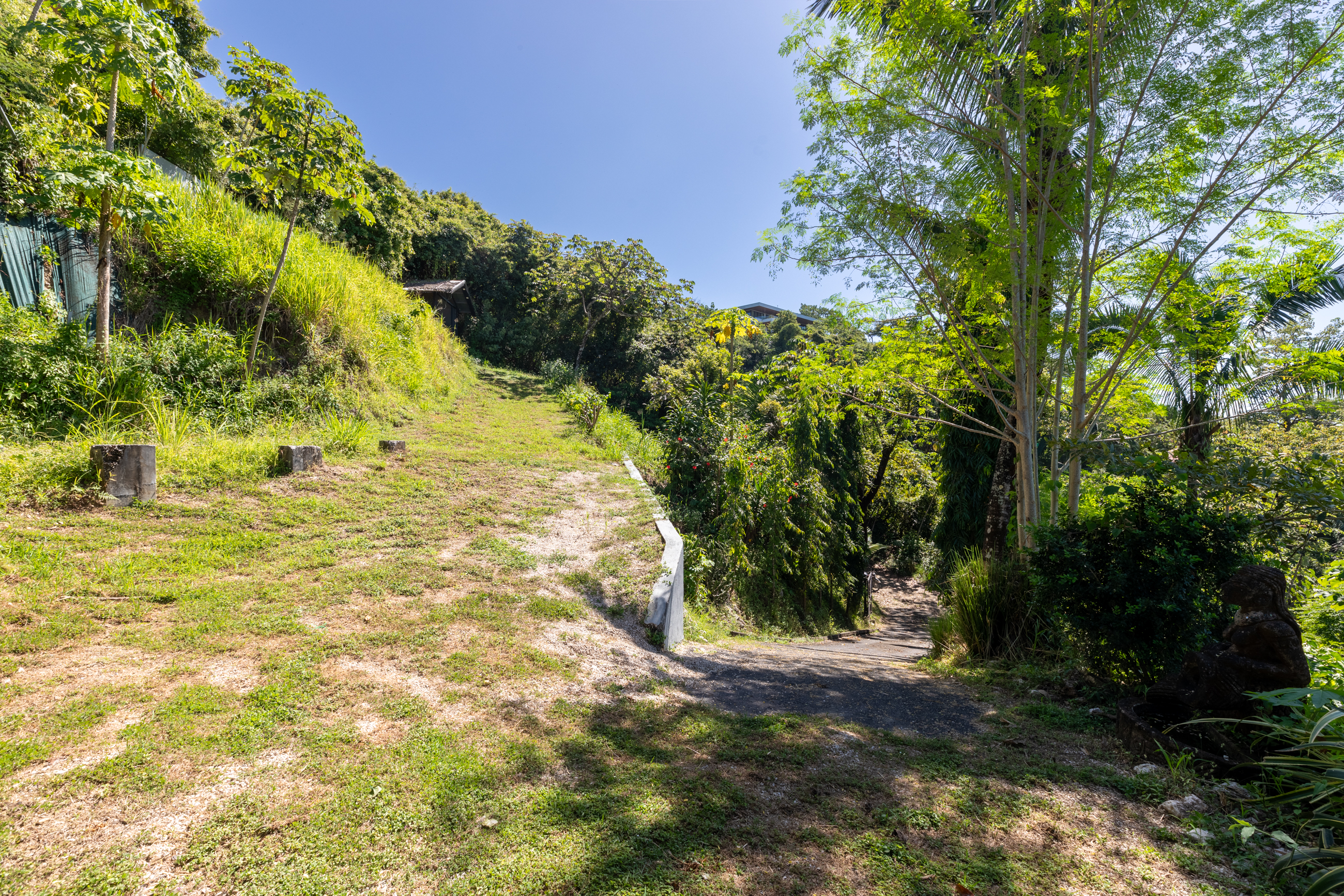 0 bed Land For Sale in Nosara, Guanacaste - thumb 8