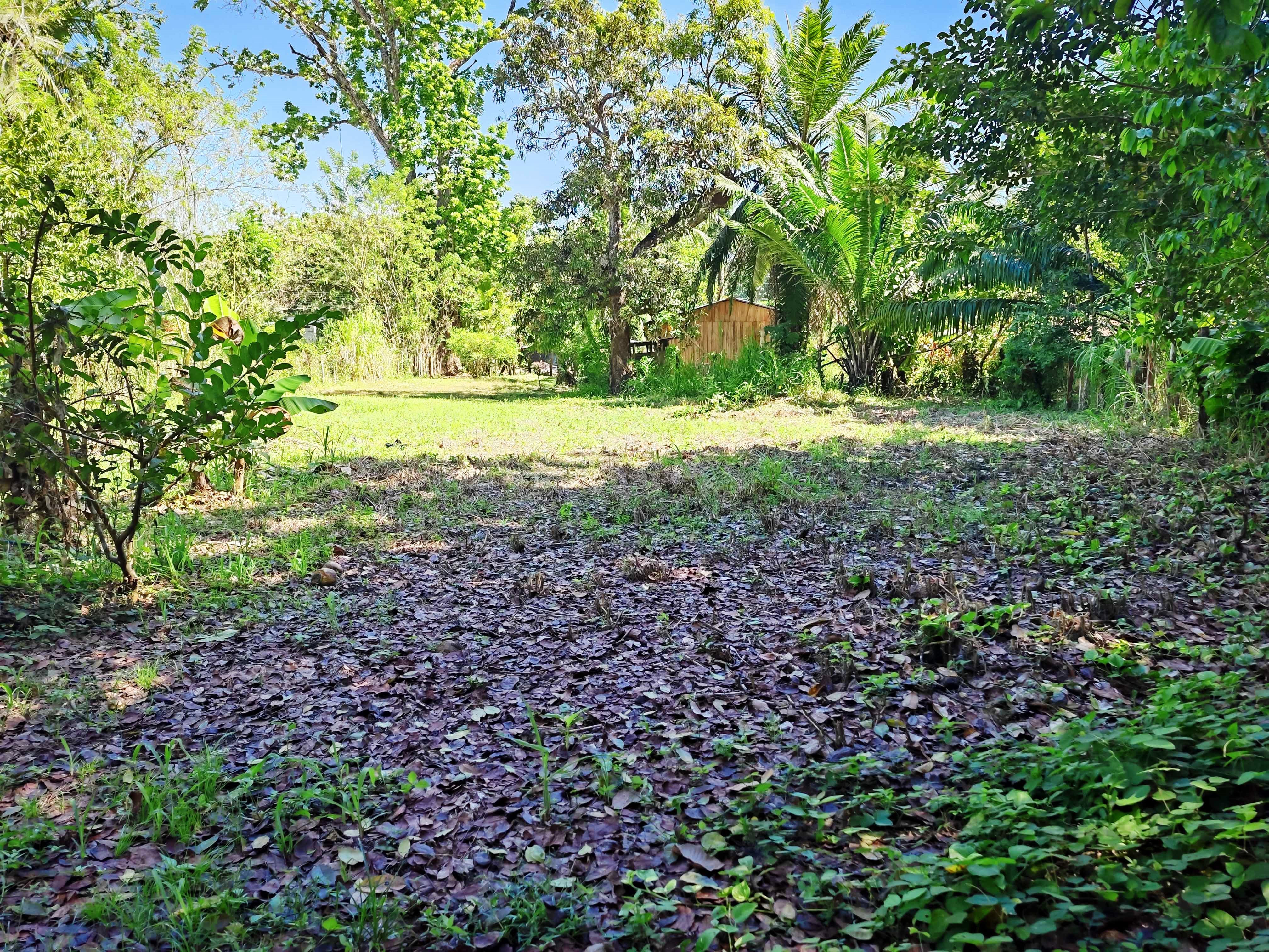 0 bed Land For Sale in Paquera, Puntarenas - thumb 12