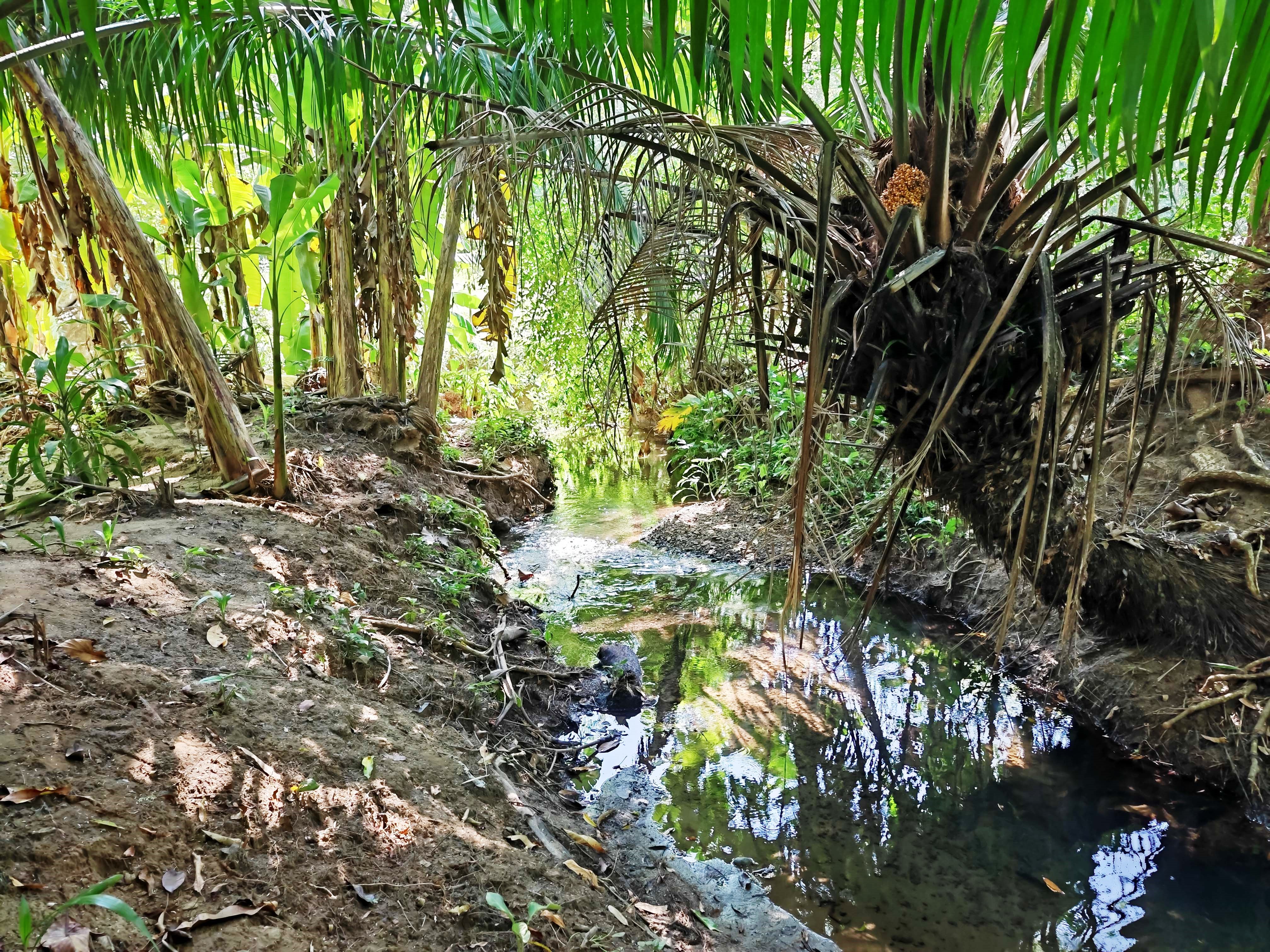 0 bed Land For Sale in Paquera, Puntarenas - thumb 17