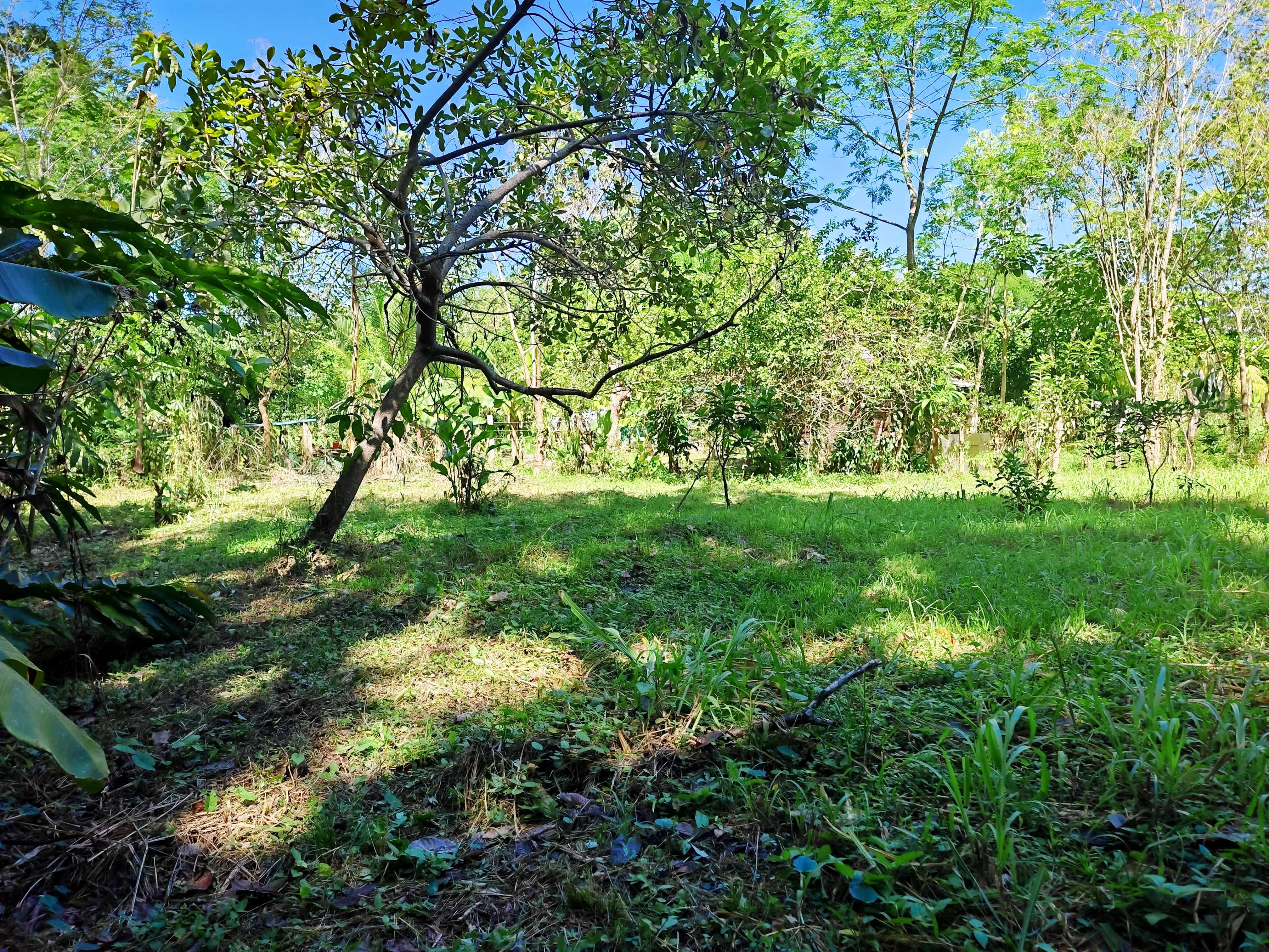 0 bed Land For Sale in Paquera, Puntarenas - thumb 7