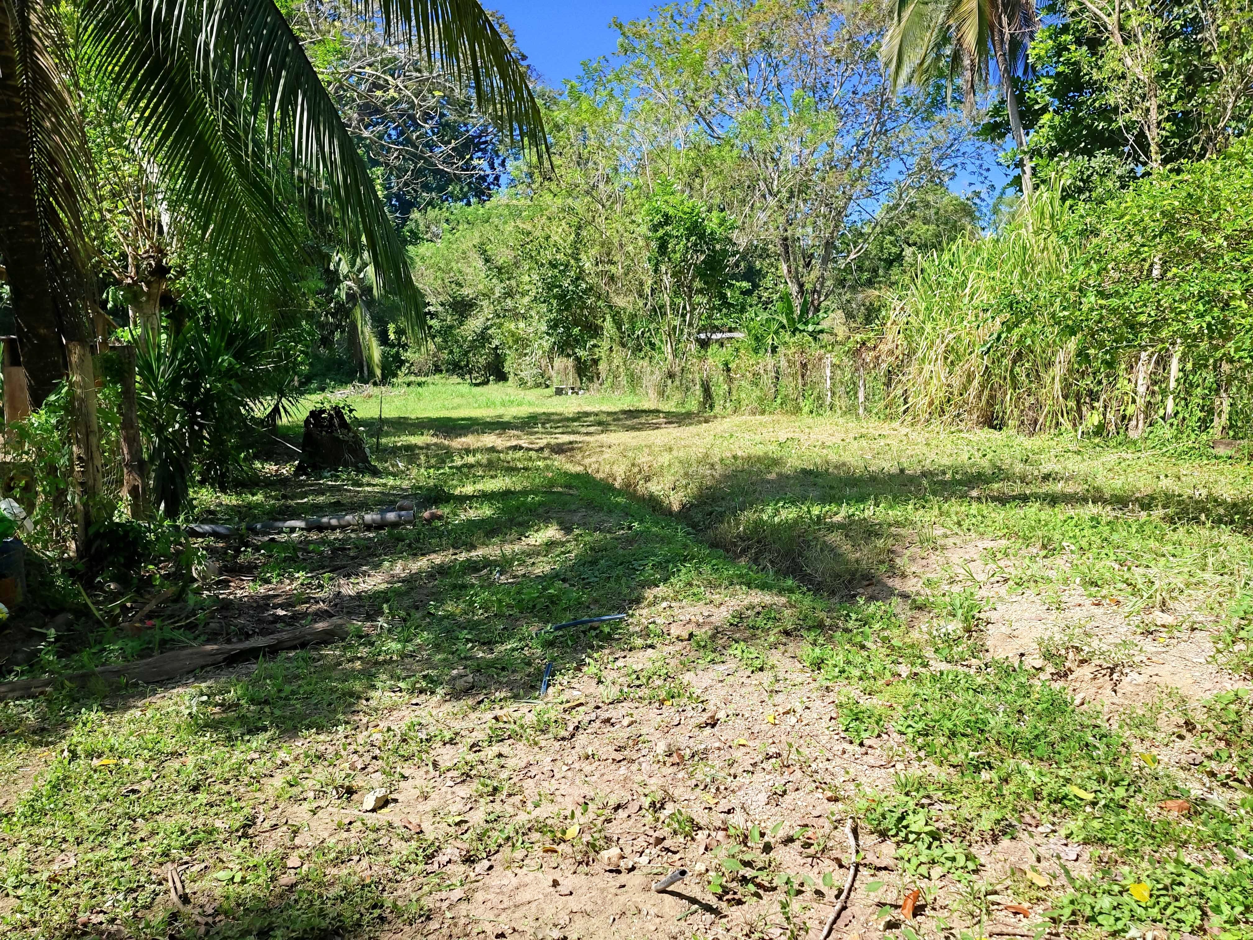 0 bed Land For Sale in Paquera, Puntarenas - thumb 4