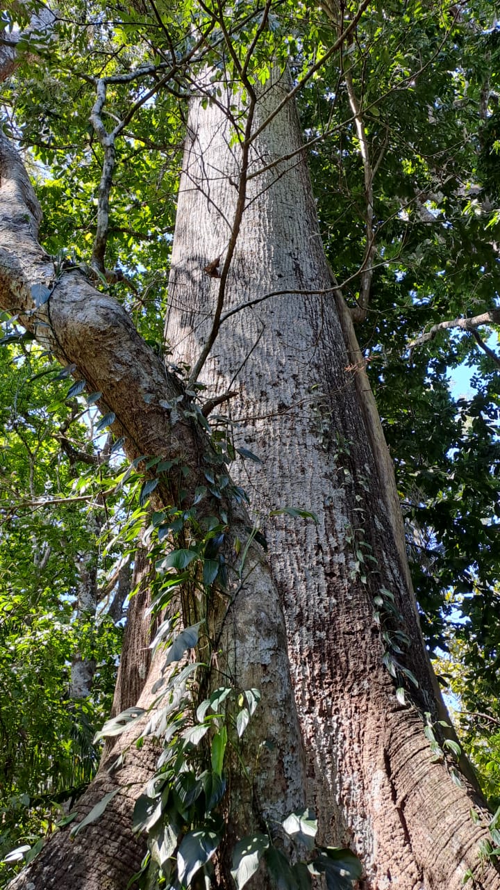 0 bed Land For Sale in Paquera, Puntarenas - thumb 11