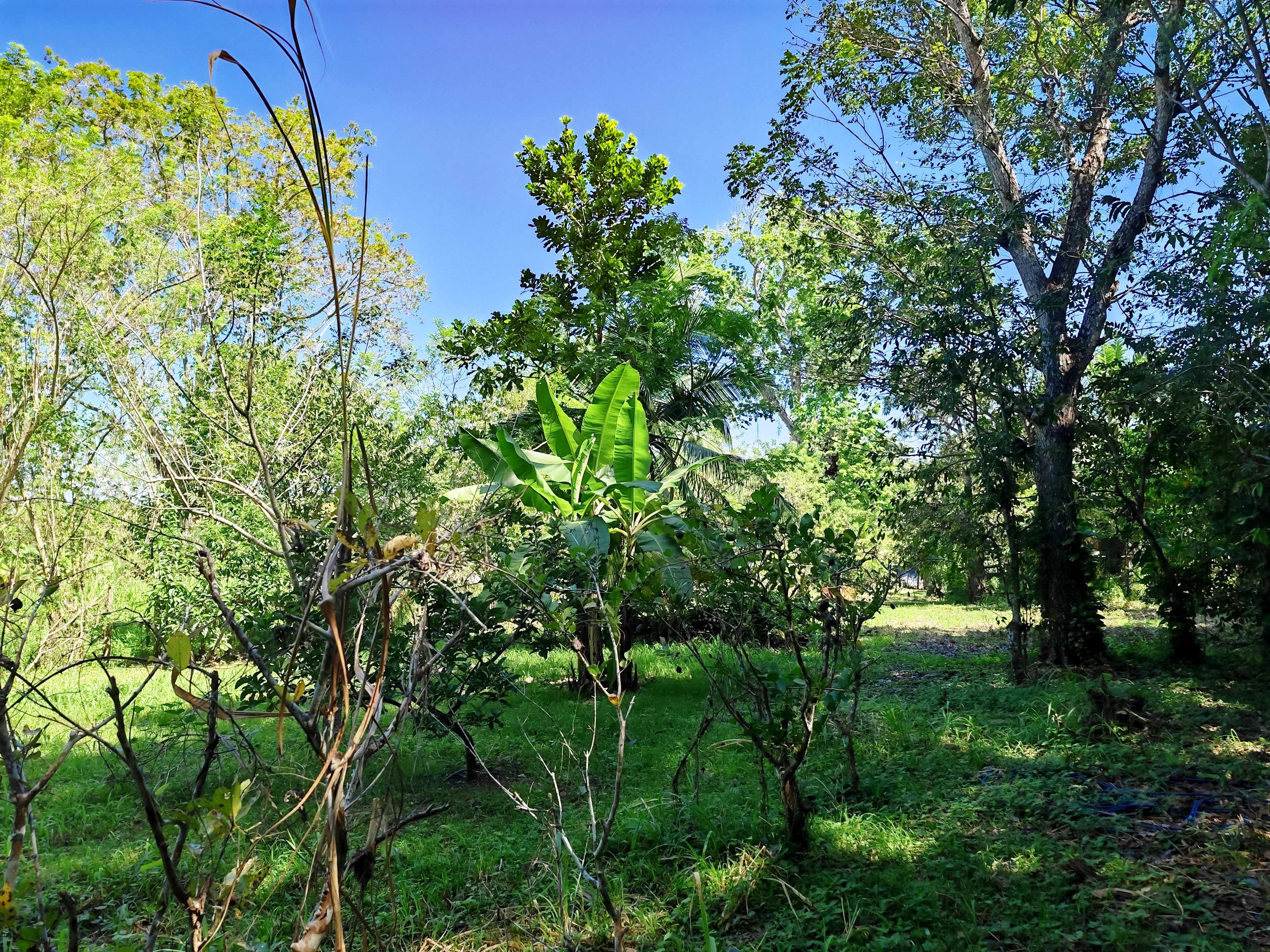 0 bed Land For Sale in Paquera, Puntarenas - thumb 9