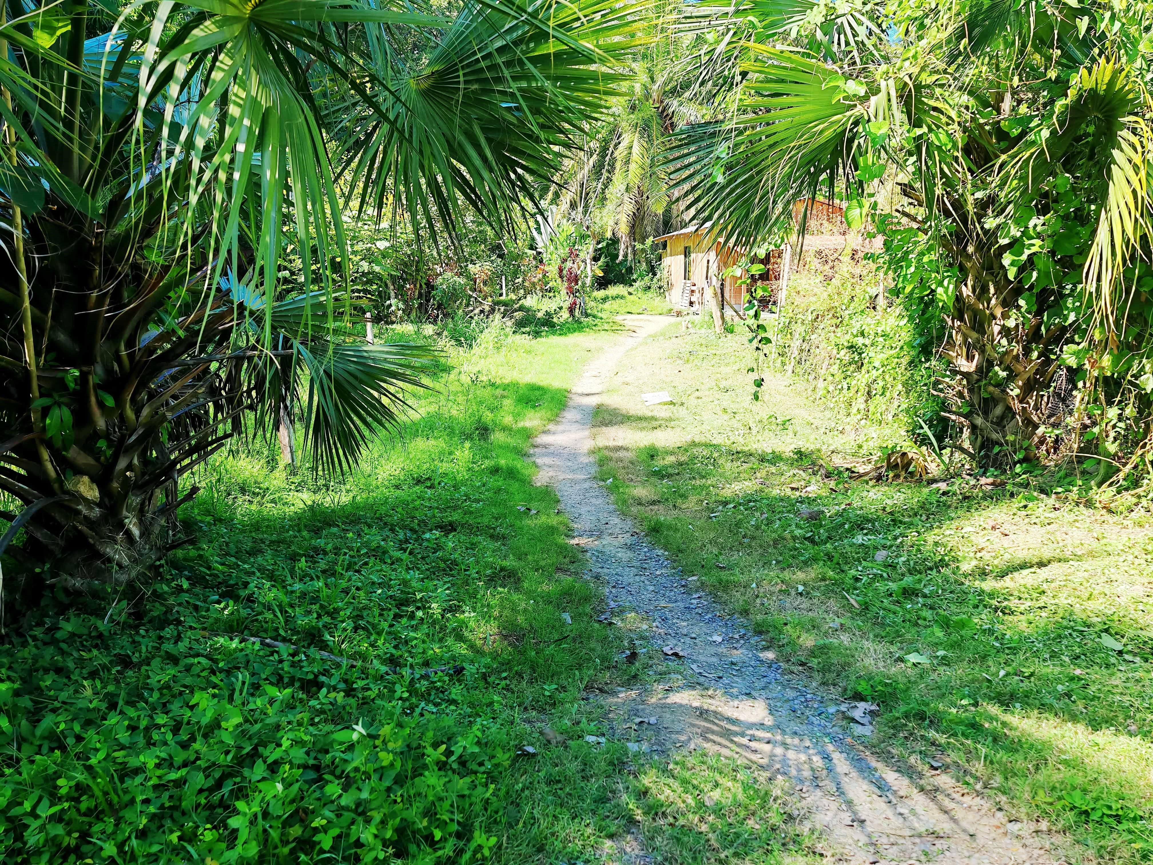 0 bed Land For Sale in Paquera, Puntarenas - thumb 1