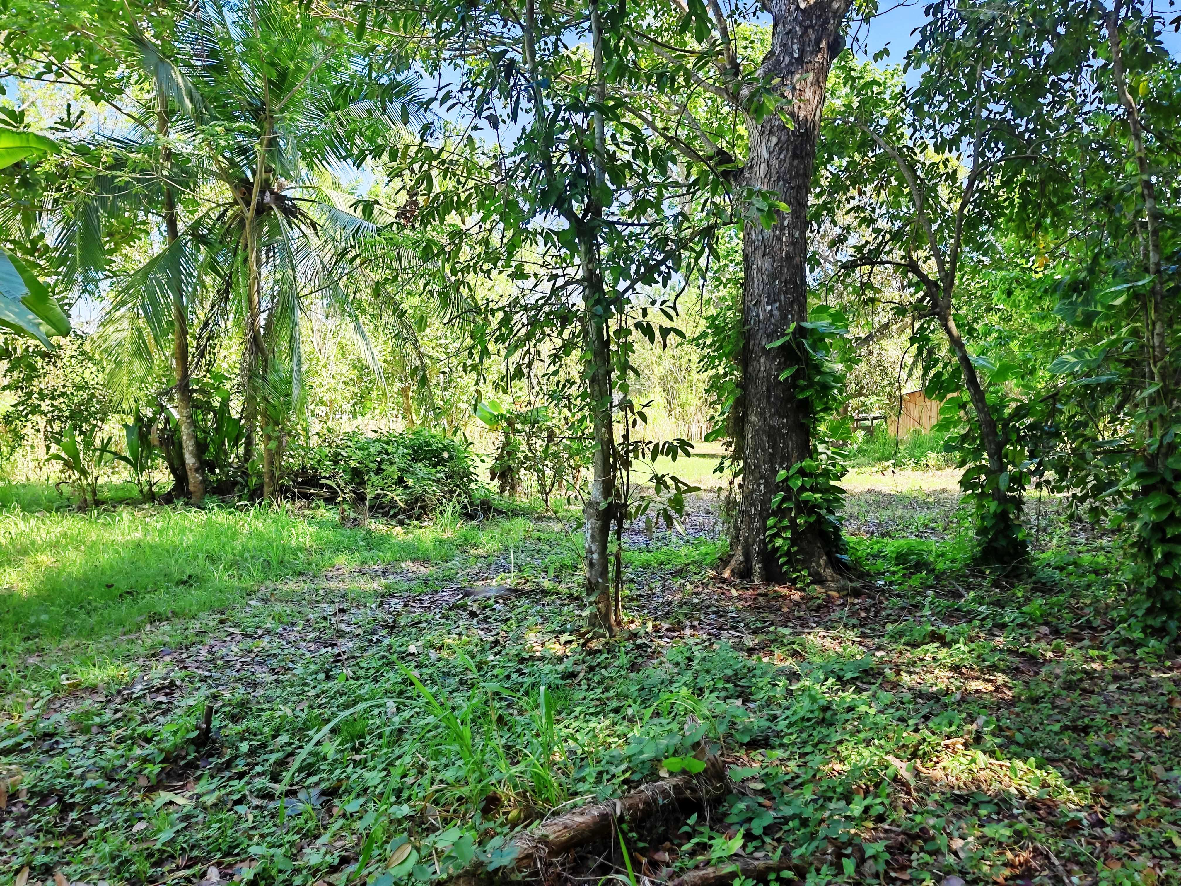 0 bed Land For Sale in Paquera, Puntarenas - thumb 10