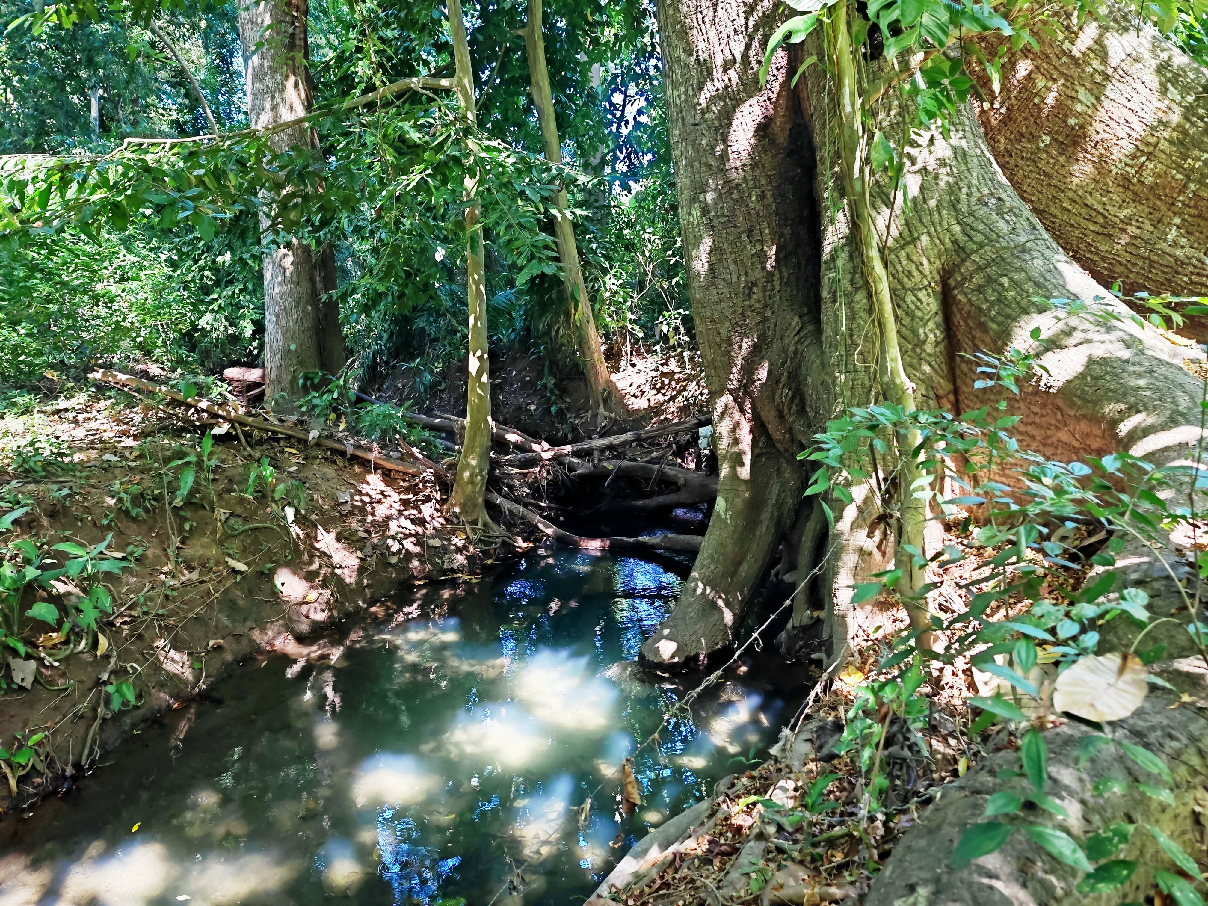 0 bed Land For Sale in Paquera, Puntarenas - thumb 16