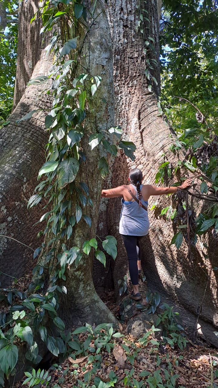 0 bed Land For Sale in Paquera, Puntarenas - thumb 8