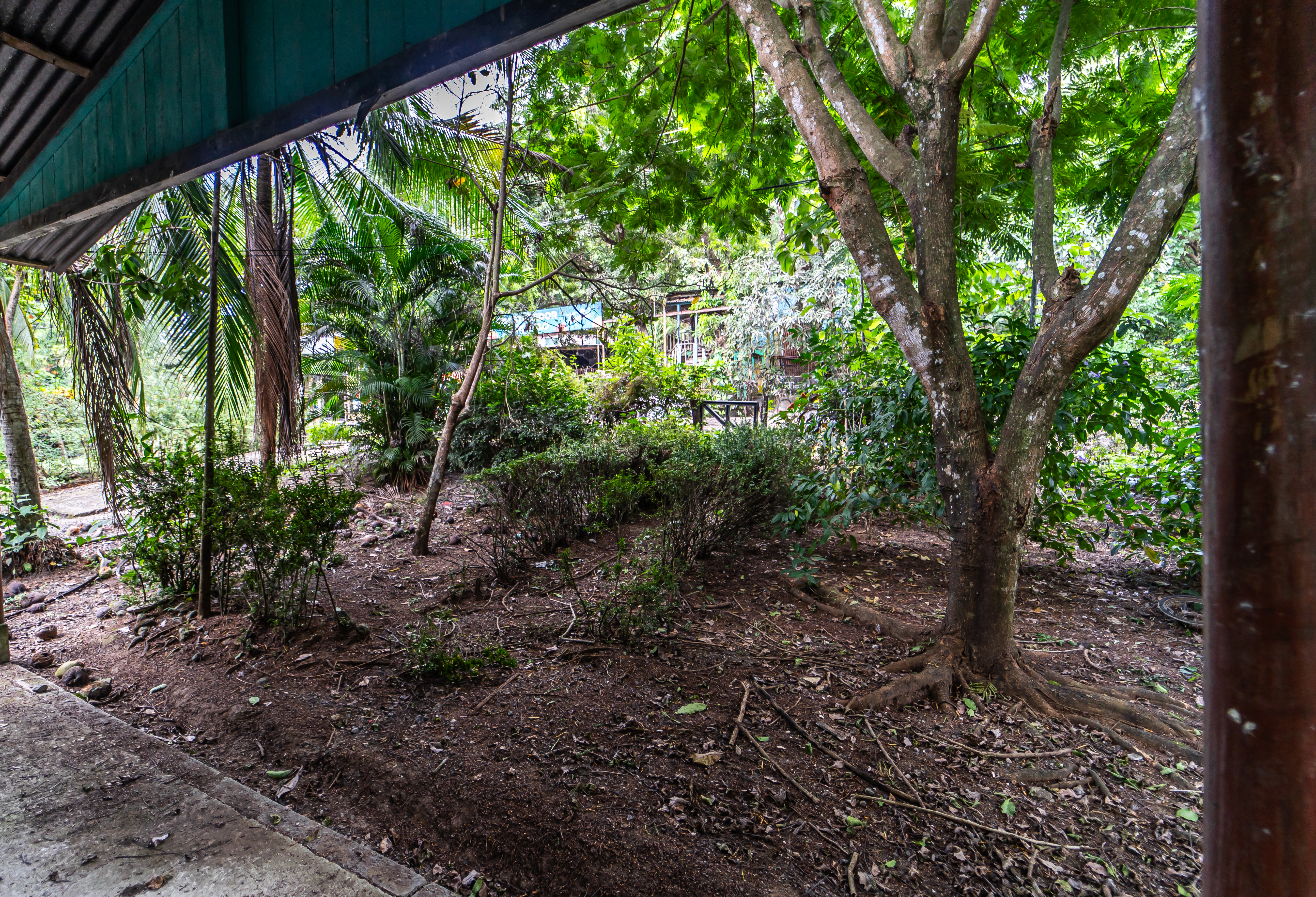 2 bed Single Family Homes For Sale in Samara, Guanacaste - thumb 6