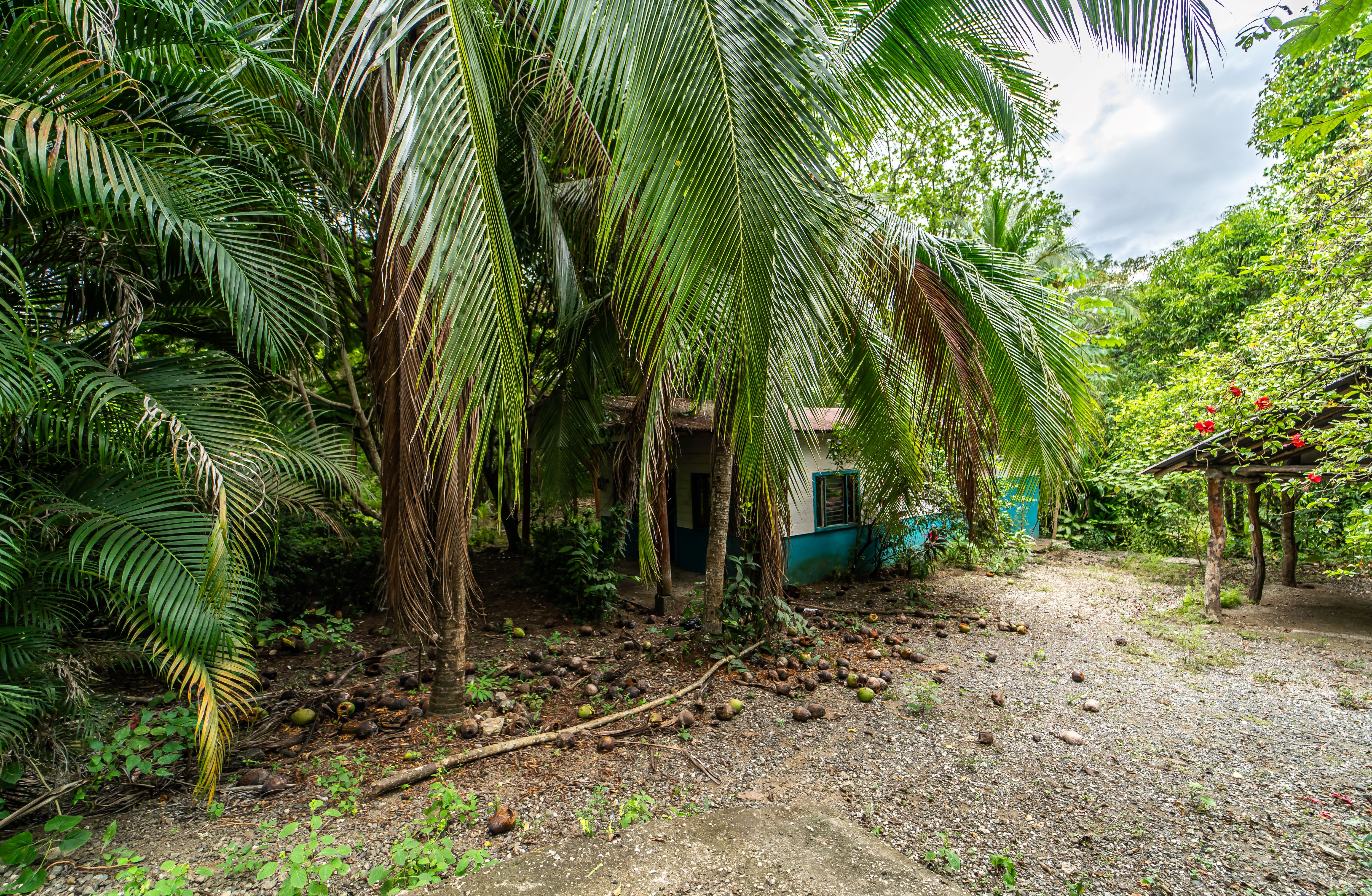 2 bed Single Family Homes For Sale in Samara, Guanacaste - thumb 1