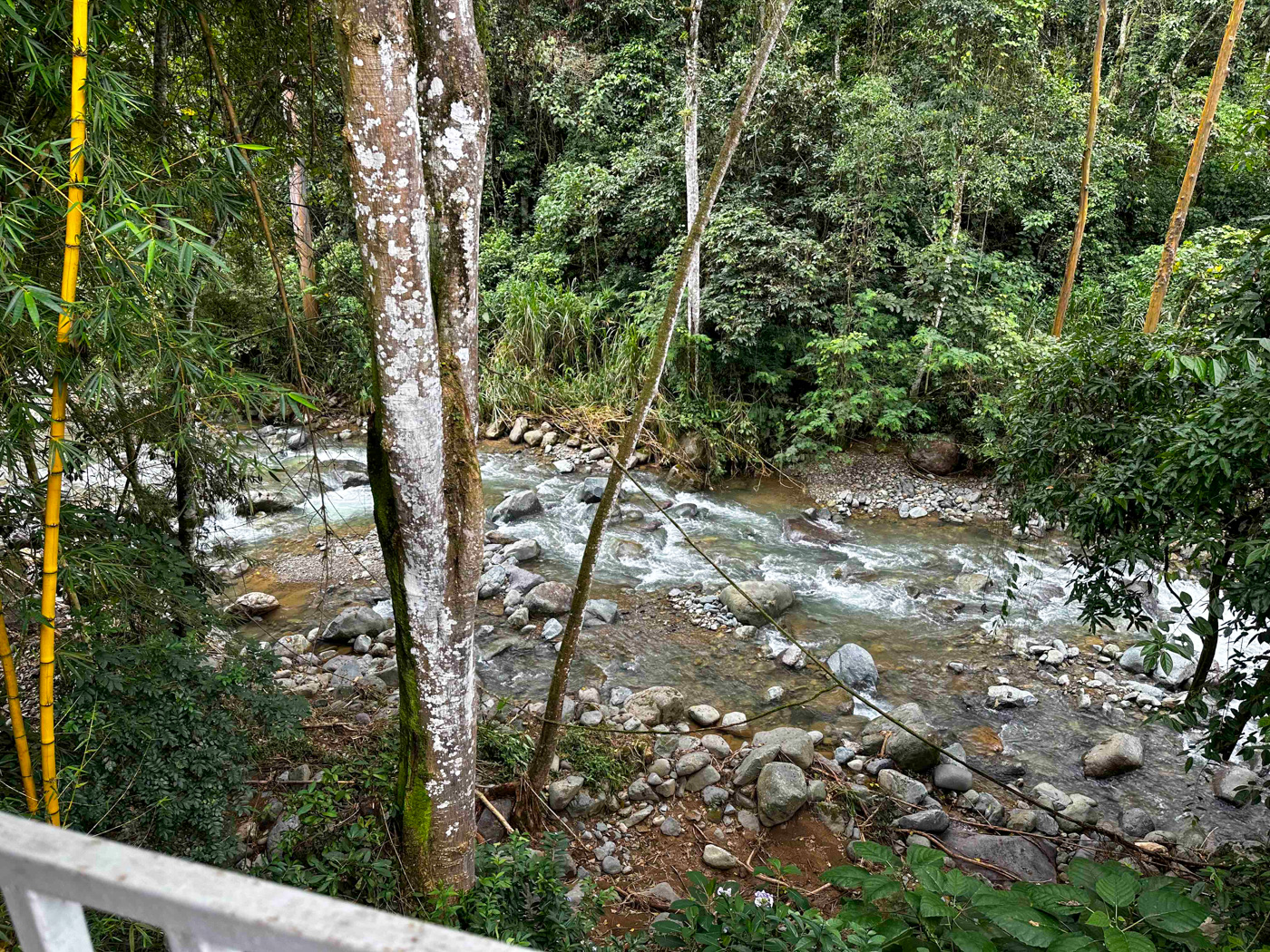 5 bed Single Family Homes For Sale in Perez Zeledon, San Jose - thumb 27