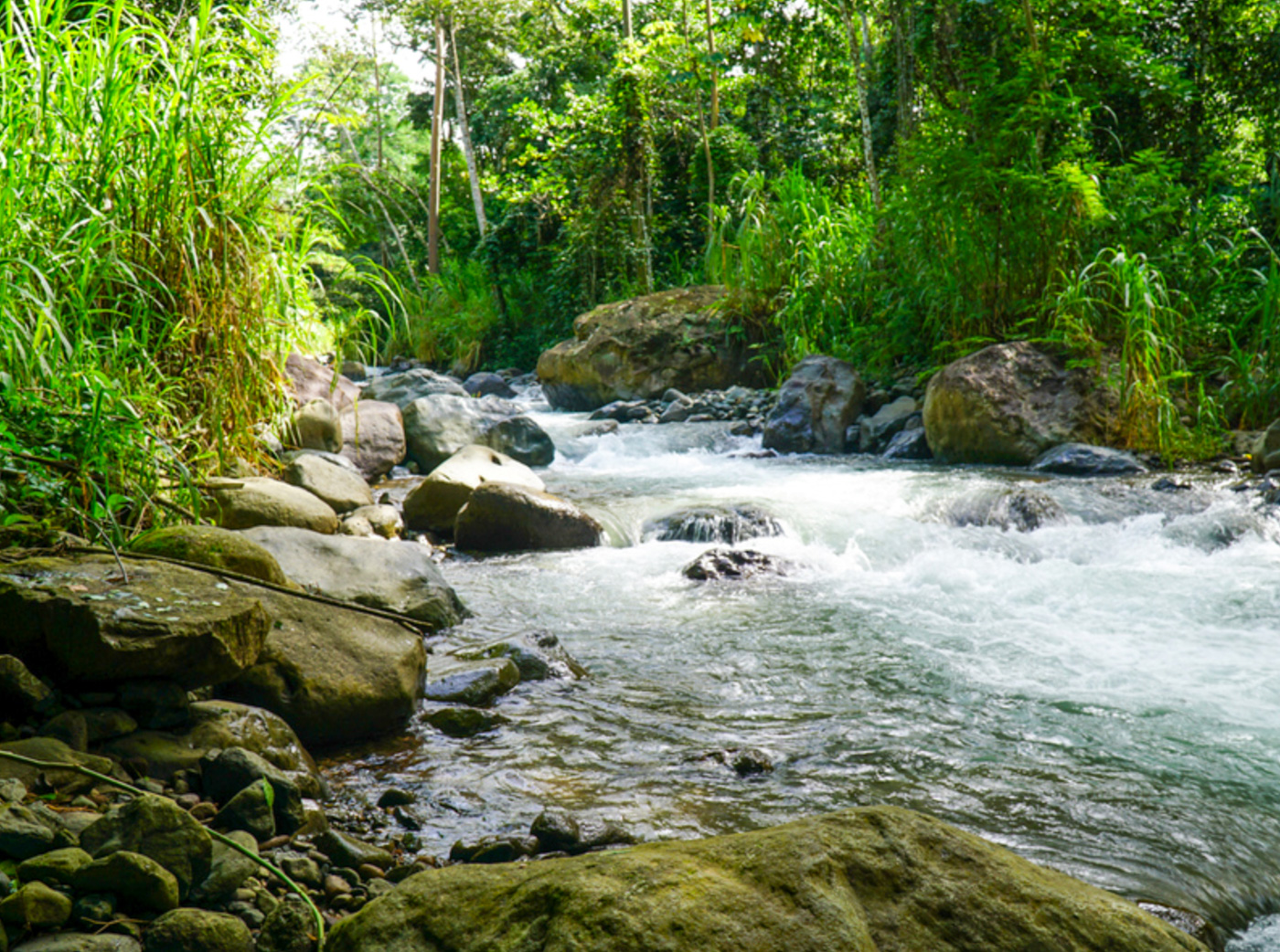 5 bed Single Family Homes For Sale in Perez Zeledon, San Jose - thumb 5