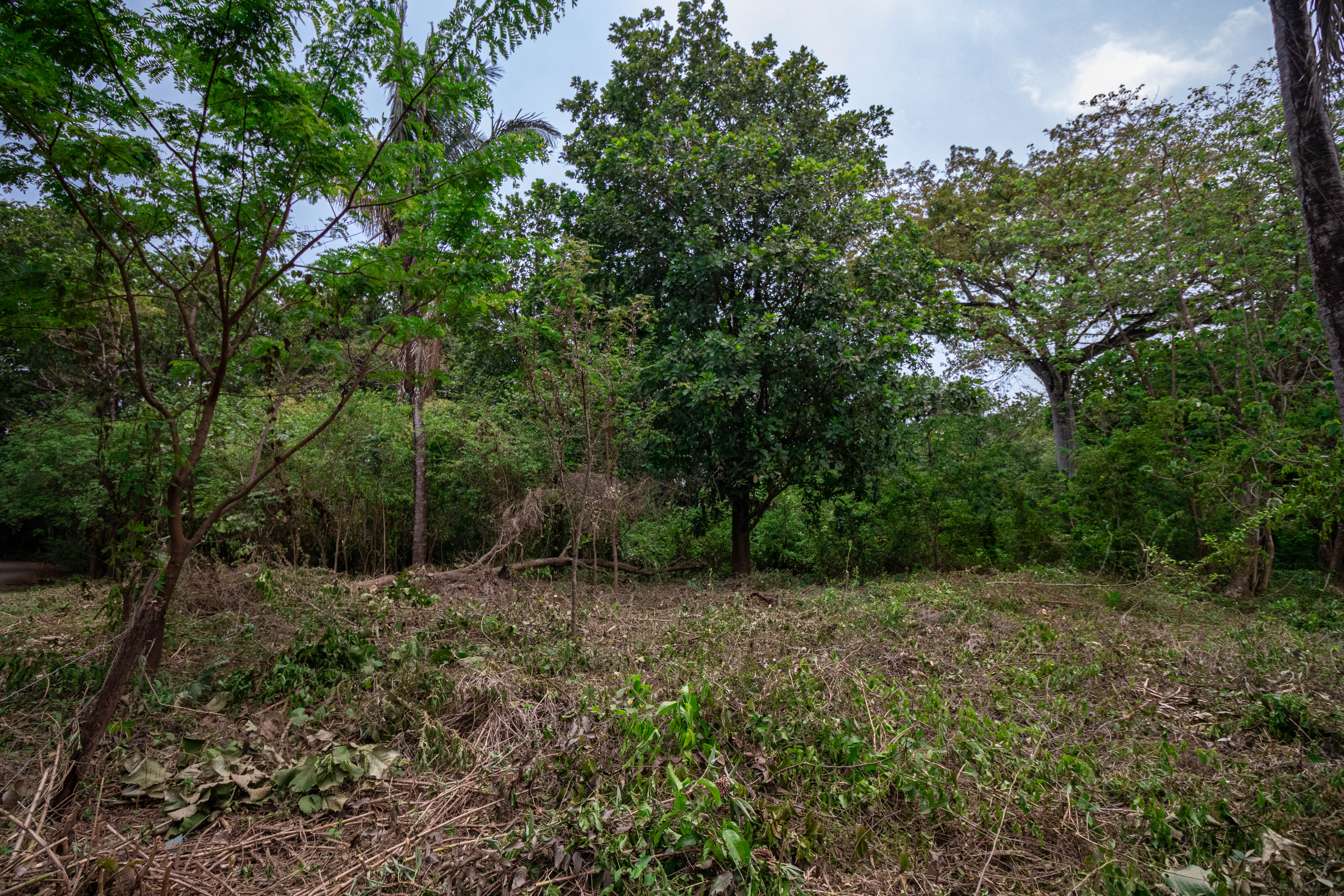 0 bed Land For Sale in Nosara, Guanacaste - thumb 7