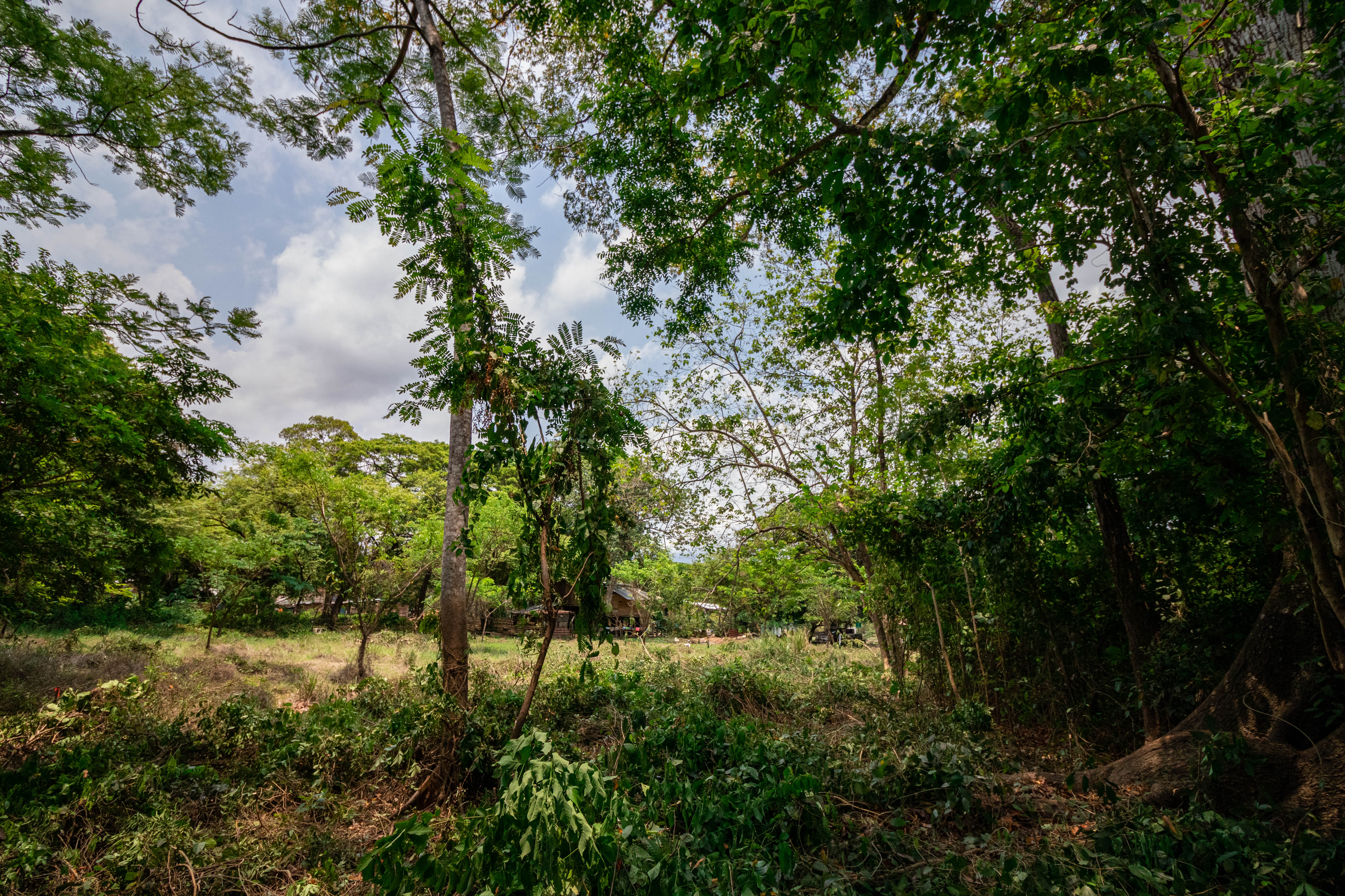 0 bed Land For Sale in Nosara, Guanacaste - thumb 4