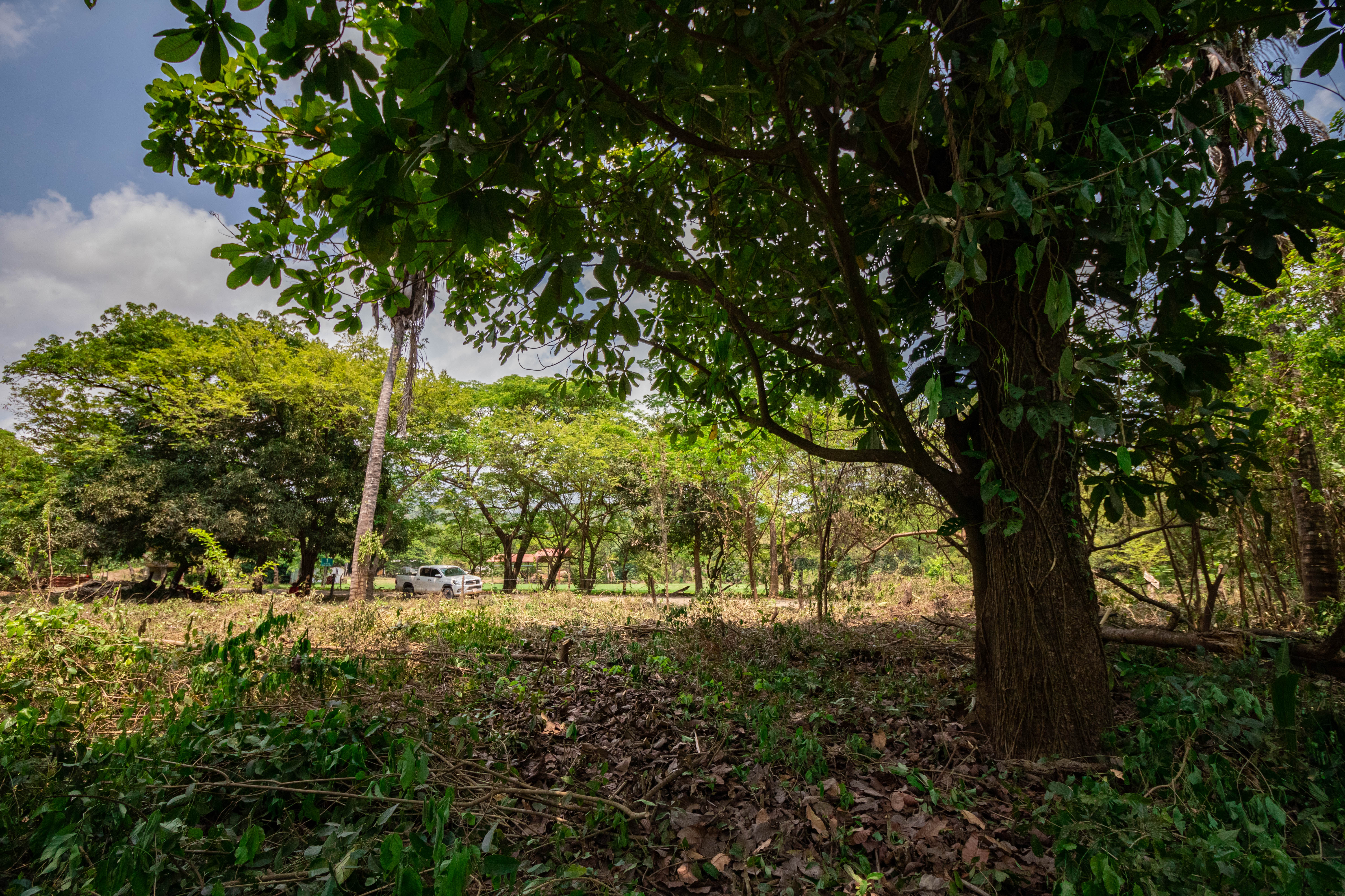 0 bed Land For Sale in Nosara, Guanacaste - thumb 8