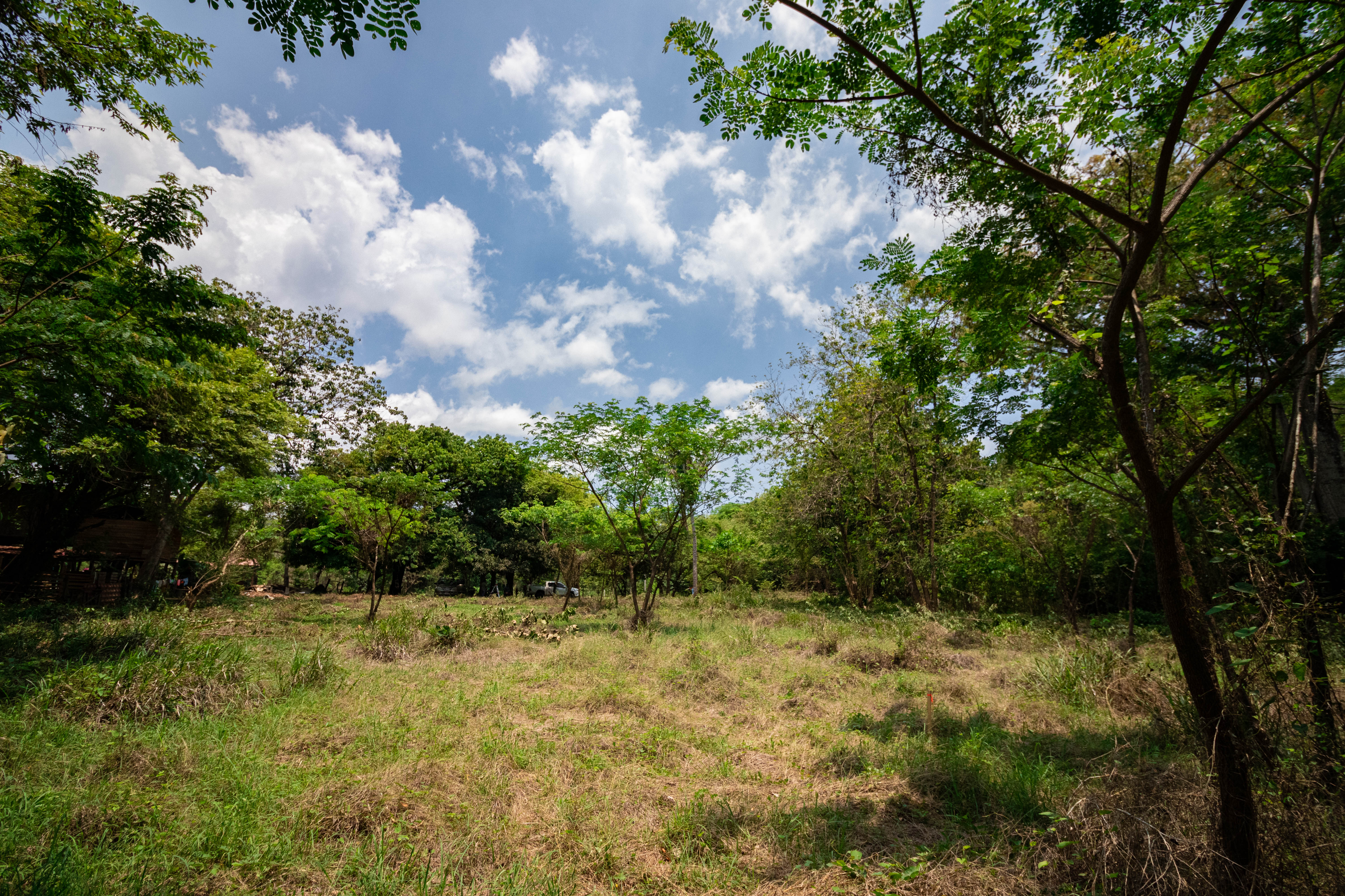 0 bed Land For Sale in Nosara, Guanacaste - thumb 3