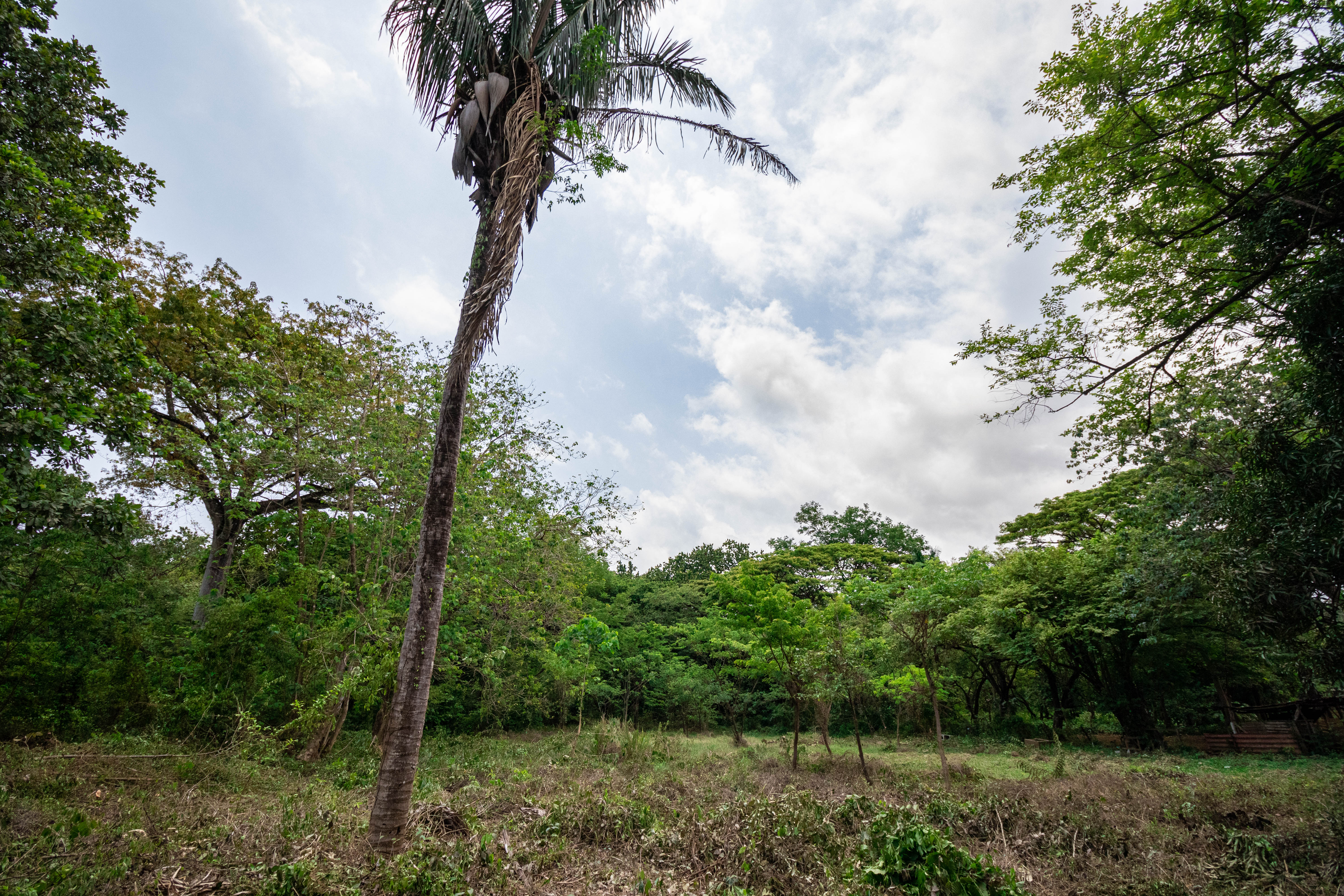 0 bed Land For Sale in Nosara, Guanacaste - thumb 6