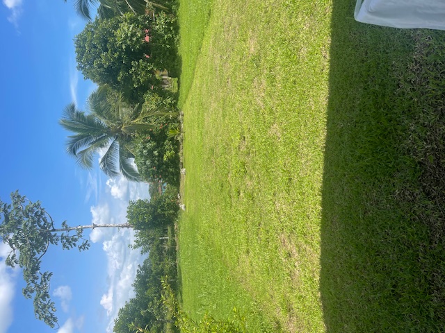 3 bed Single Family Homes For Sale in La Fortuna, Alajuela - thumb 6