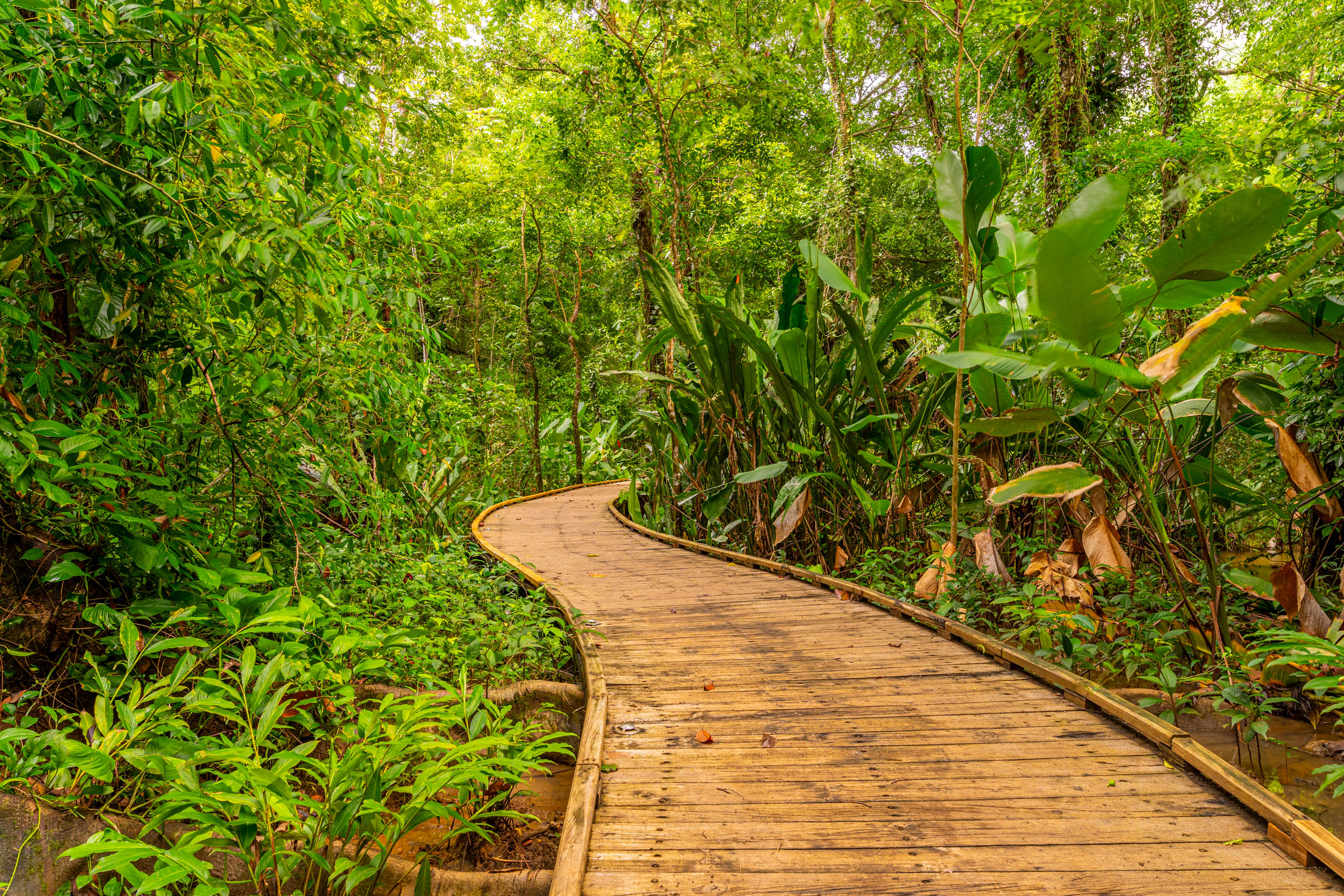 3 bed Condo For Sale in Uvita, Puntarenas - thumb 10