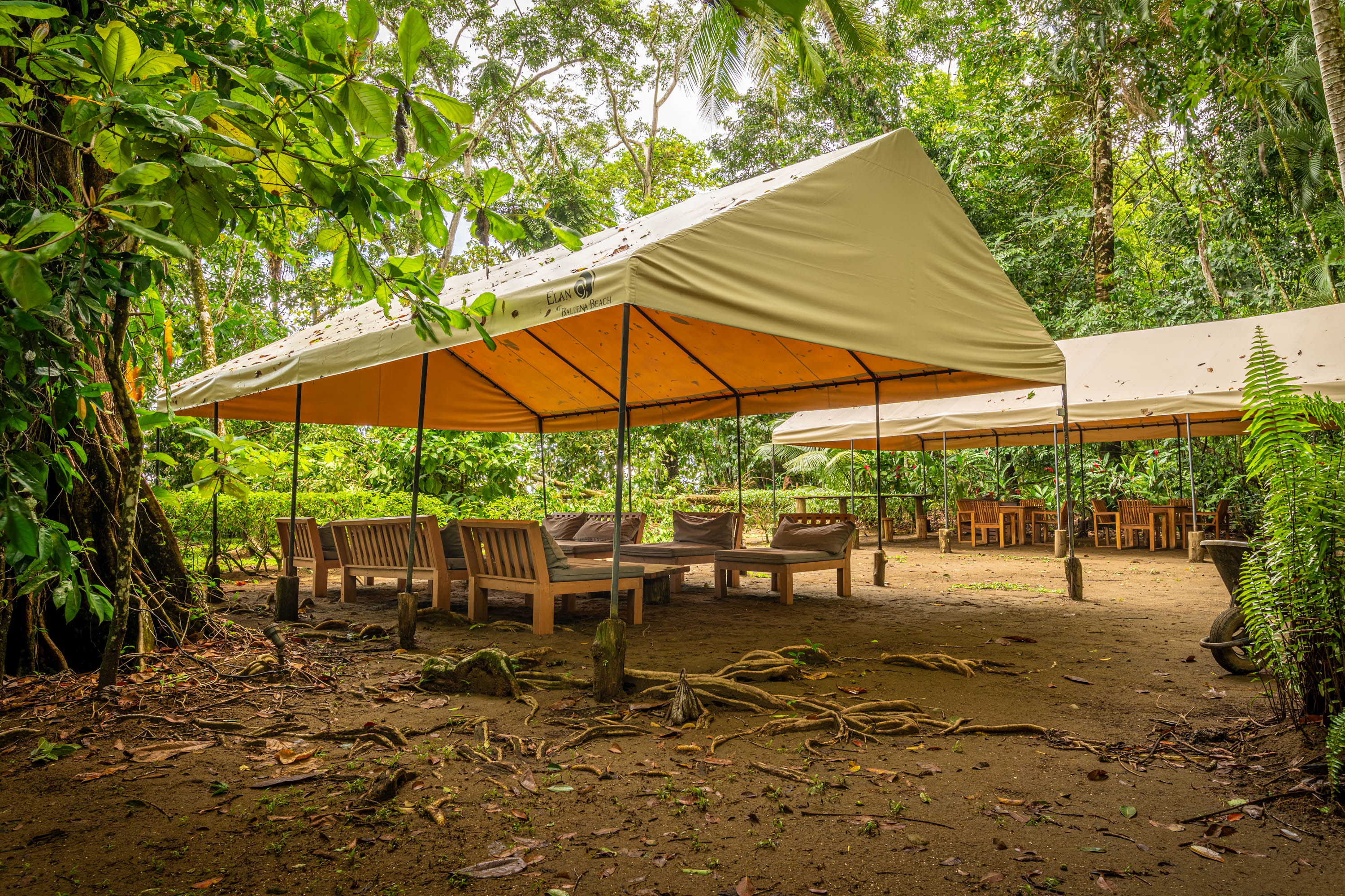 3 bed Condo For Sale in Uvita, Puntarenas - thumb 9