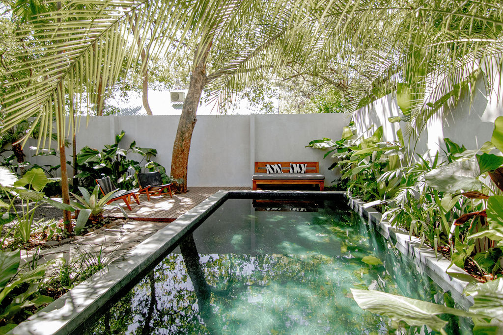 3 bed Single Family Homes For Rent in Nosara, Guanacaste - thumb 20