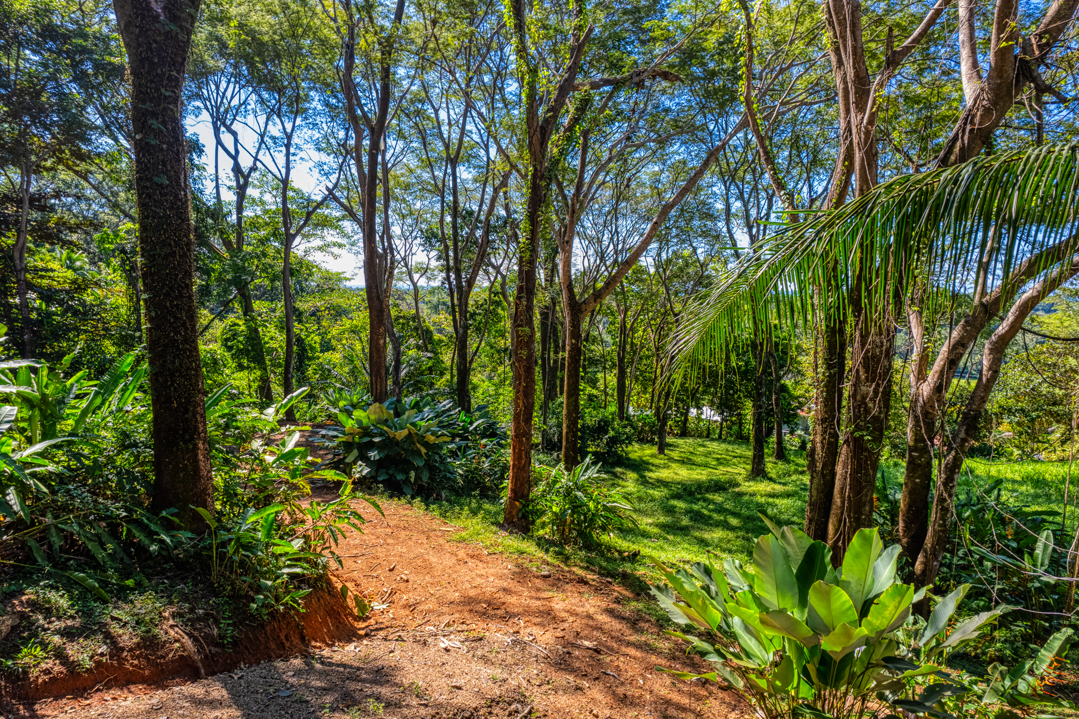 0 bed Land For Sale in Dominical, Puntarenas - thumb 4